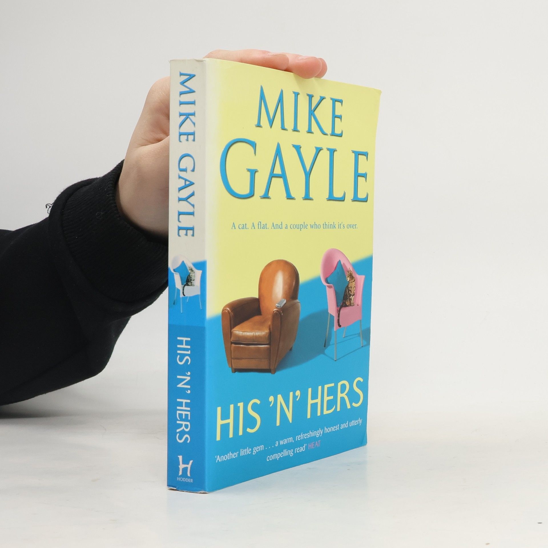 Mike Gayle His 'n' Hers