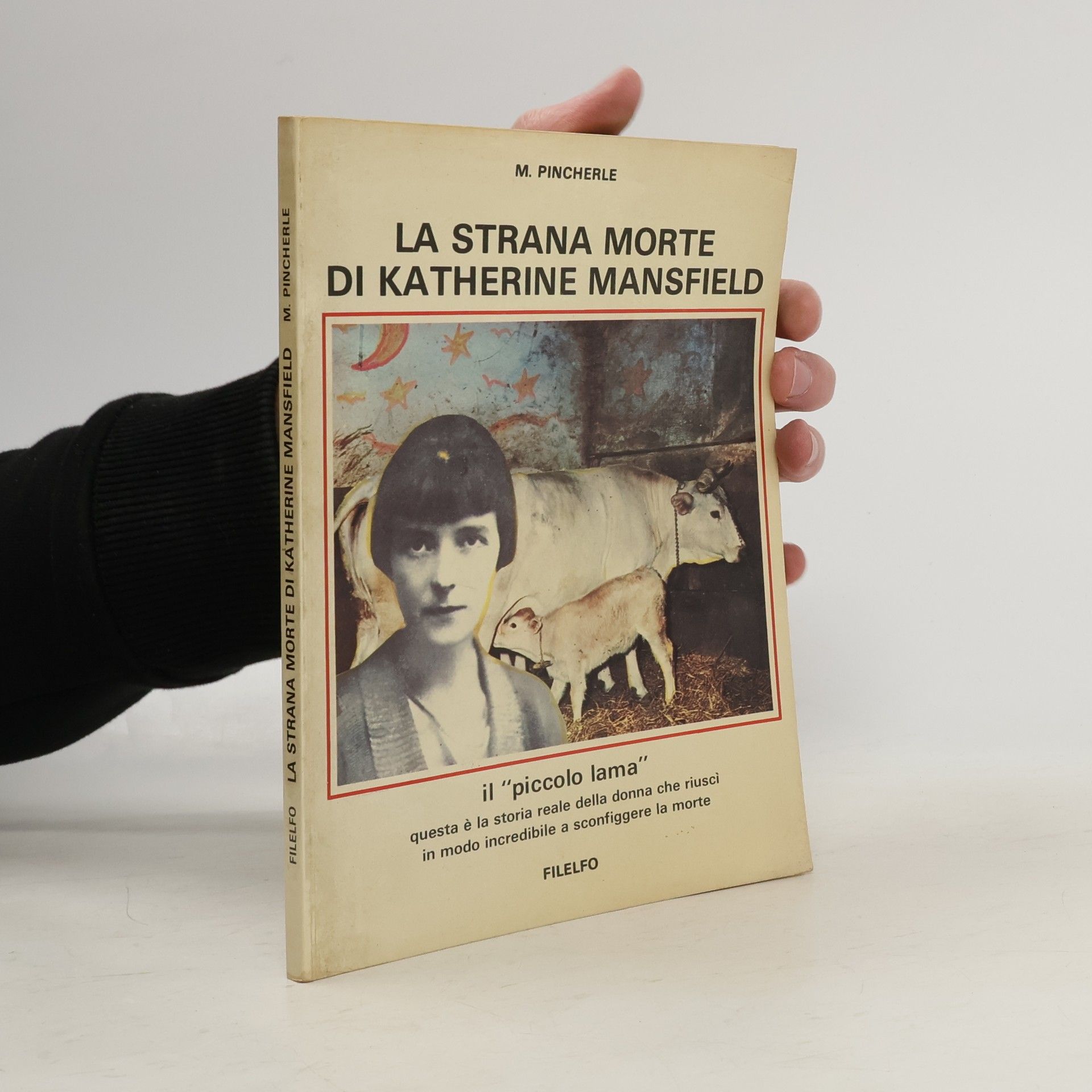 La strana morte di Katherine Mansfield