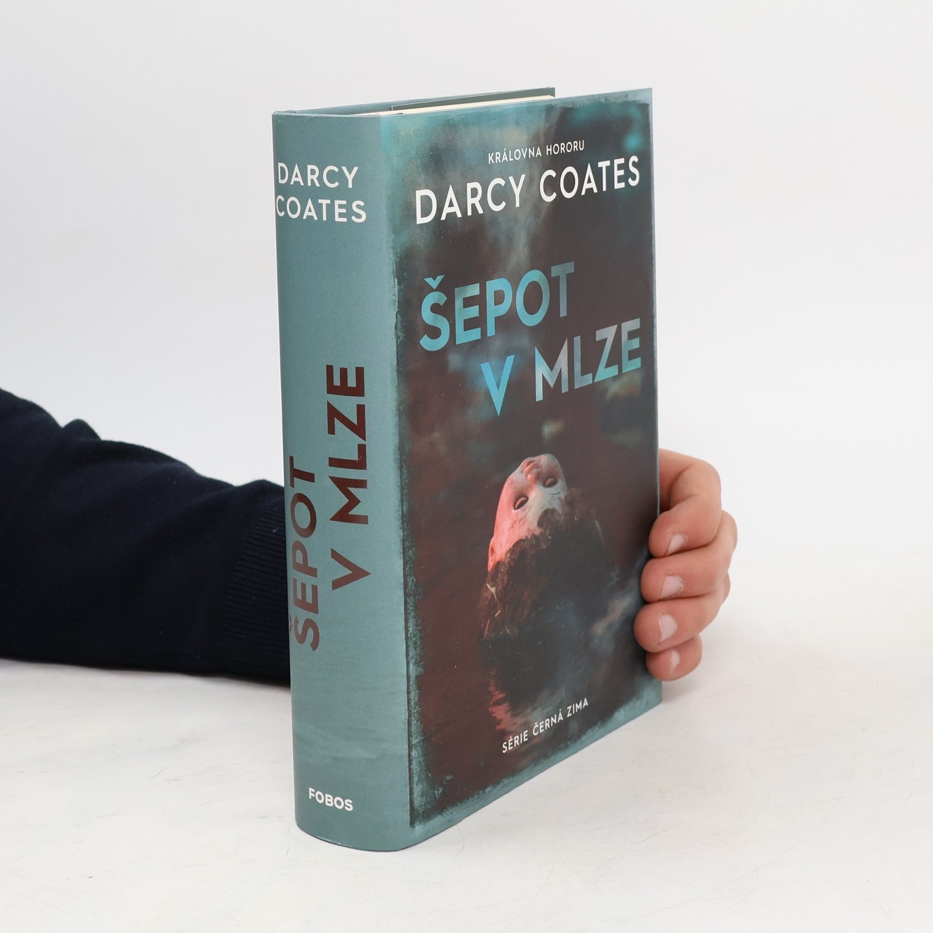 Darcy Coates Šepot v mlze