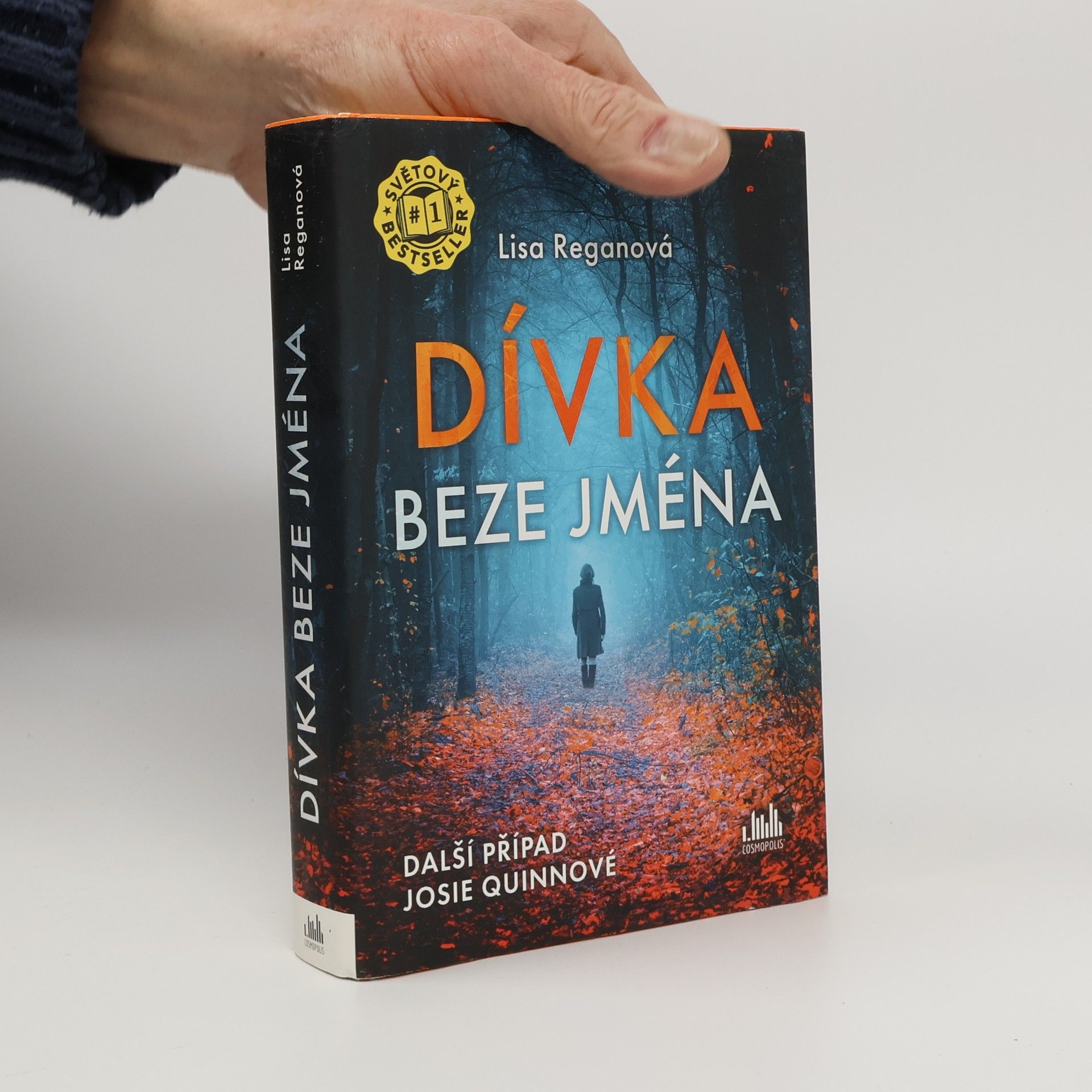 Lisa Regan Dívka beze jména: Další případ Josie Quinnové