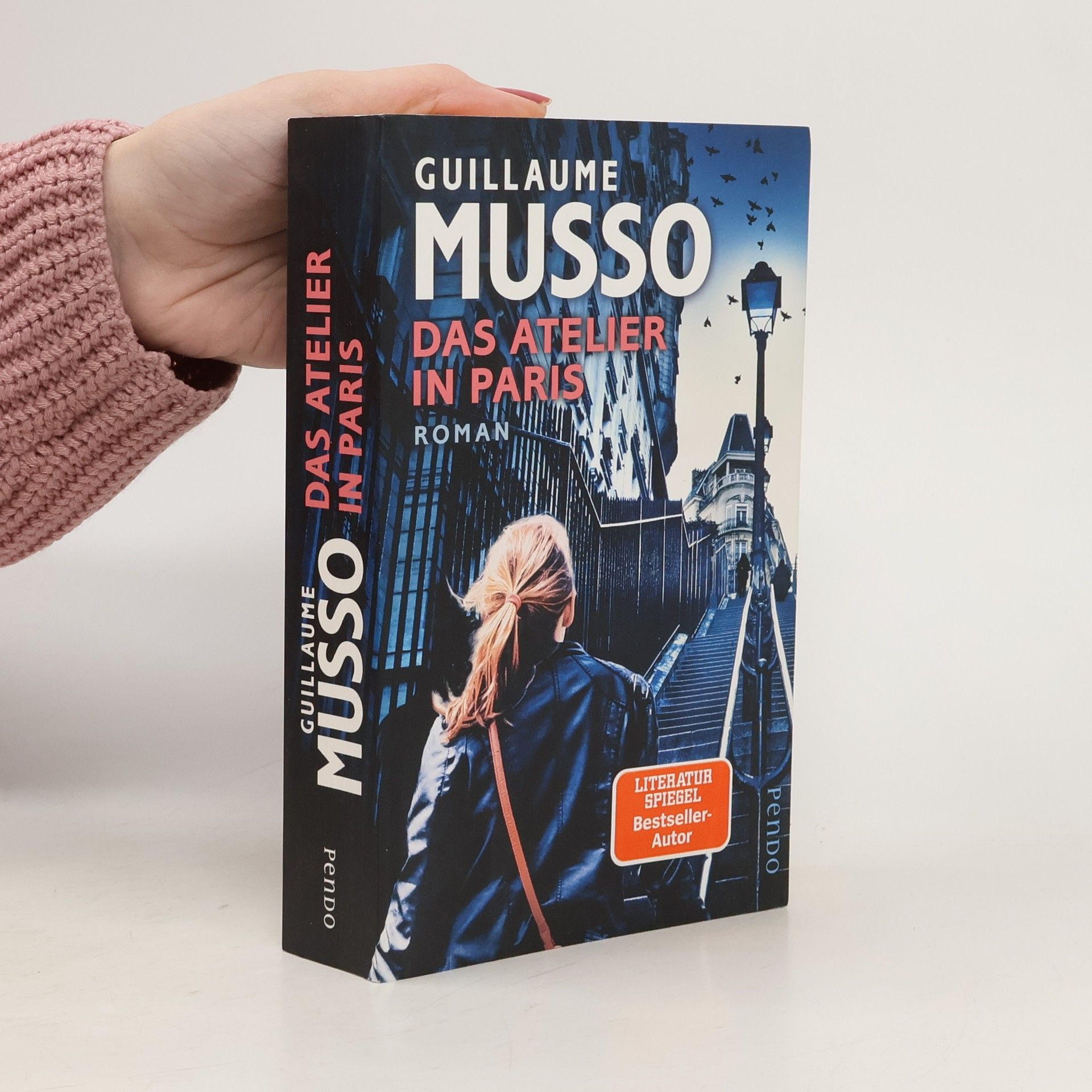 Guillaume Musso Das Atelier in Paris