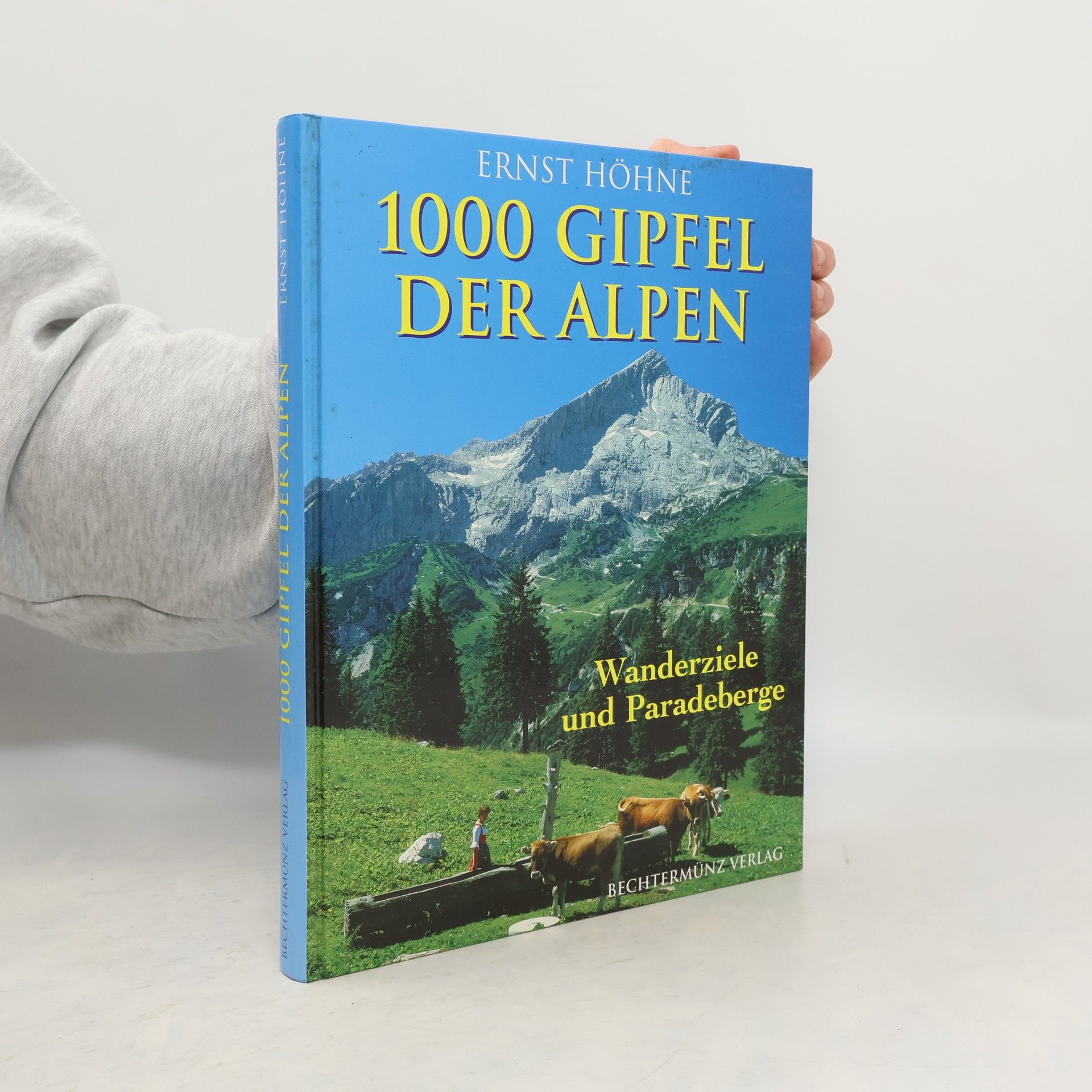 Ernst Höhne 1000 Gipfel der Alpen