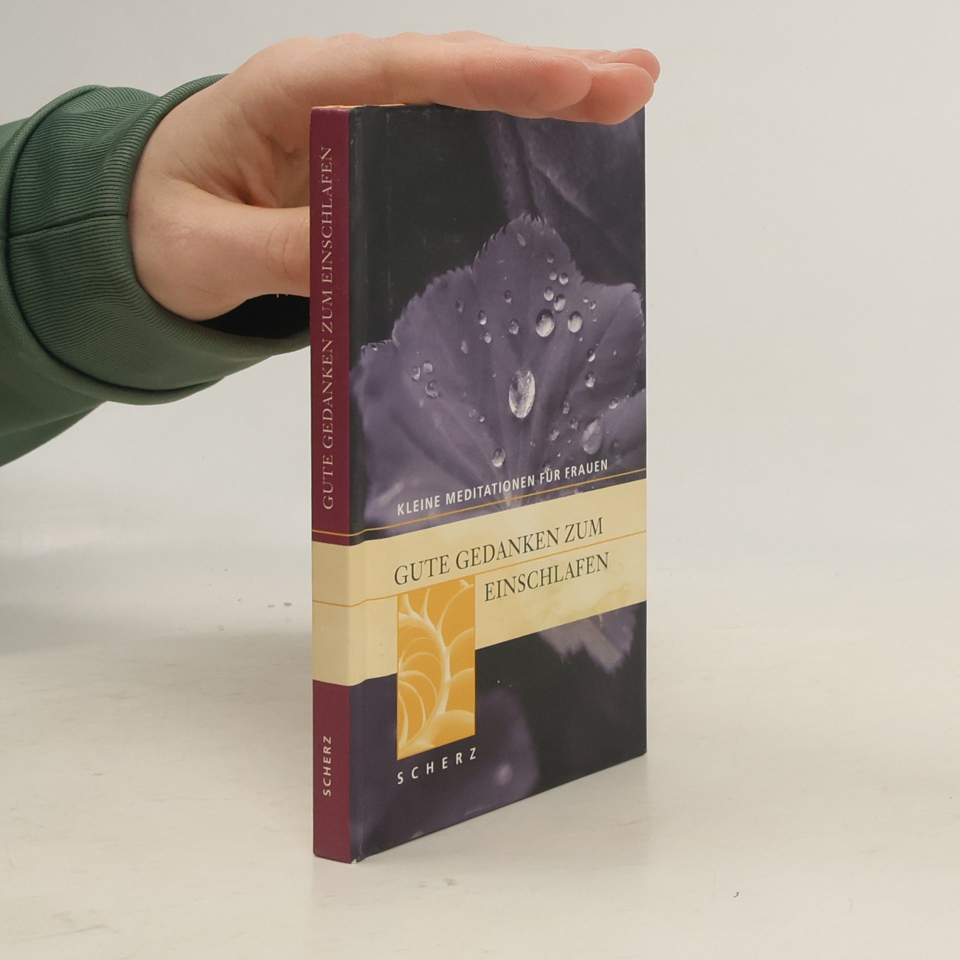 AA.VV. Gute Gedanken zum einschlafen. Kleine Meditationen für Frauen