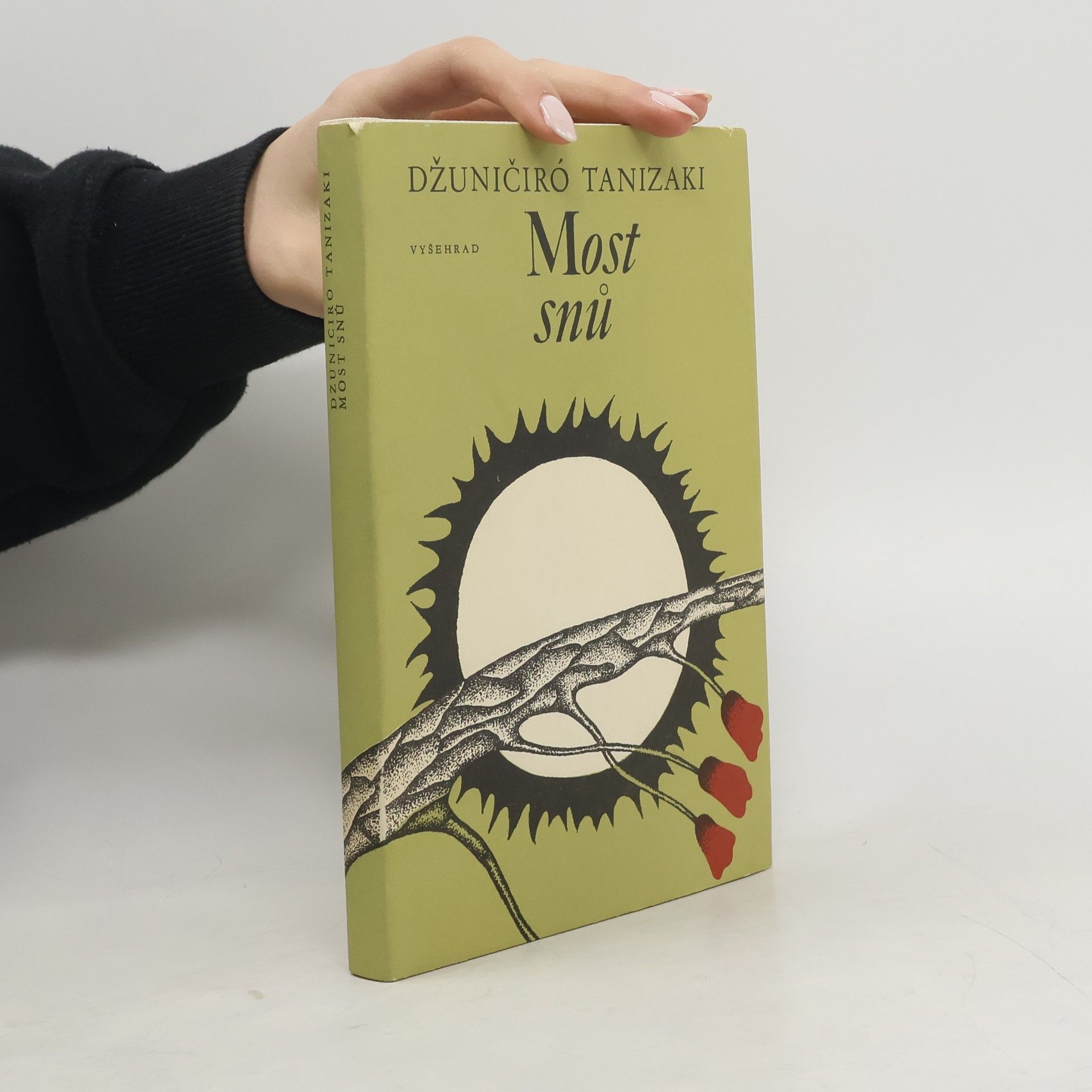 Jun'ichirō Tanizaki Most snů