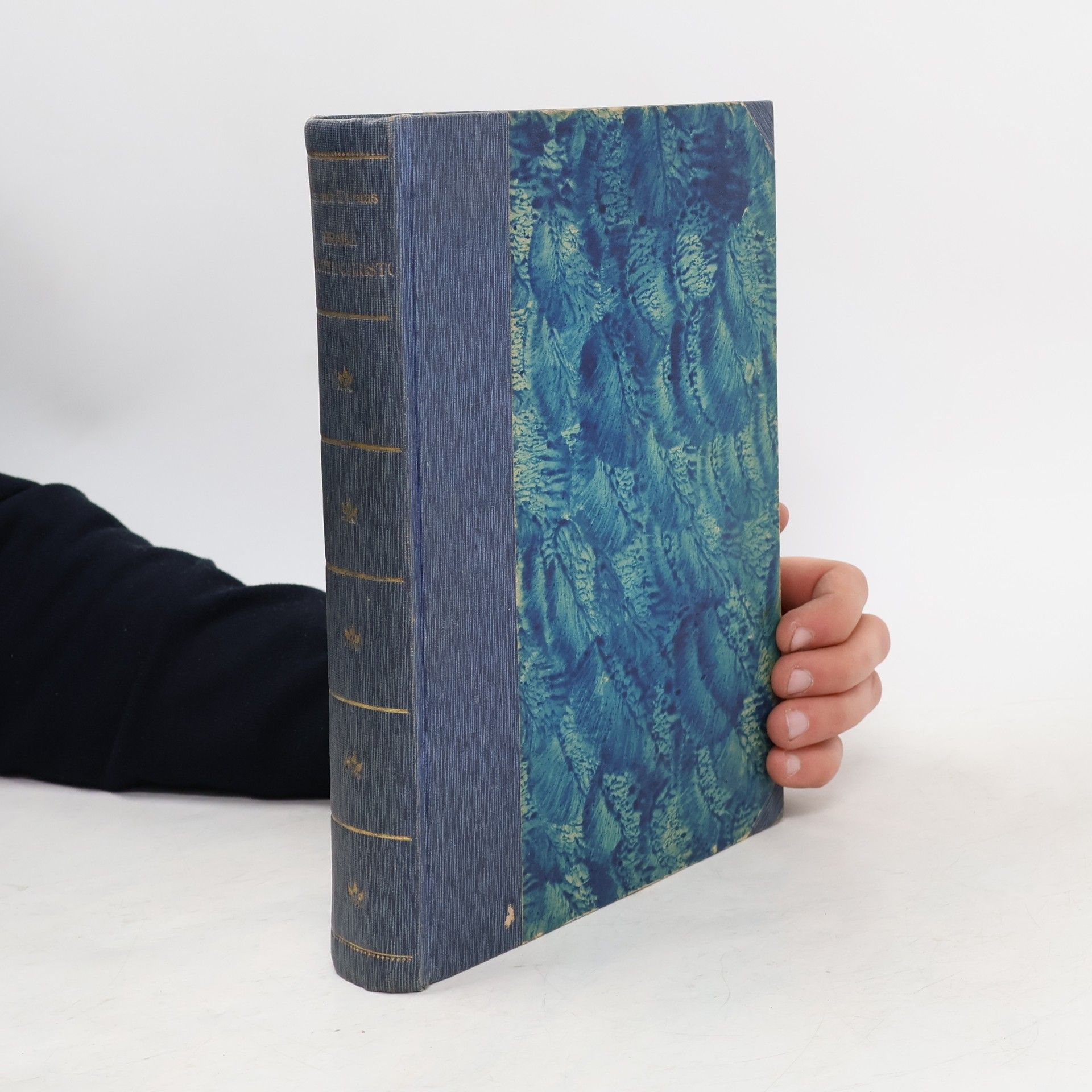 Hrabě Monte Kristo I. 