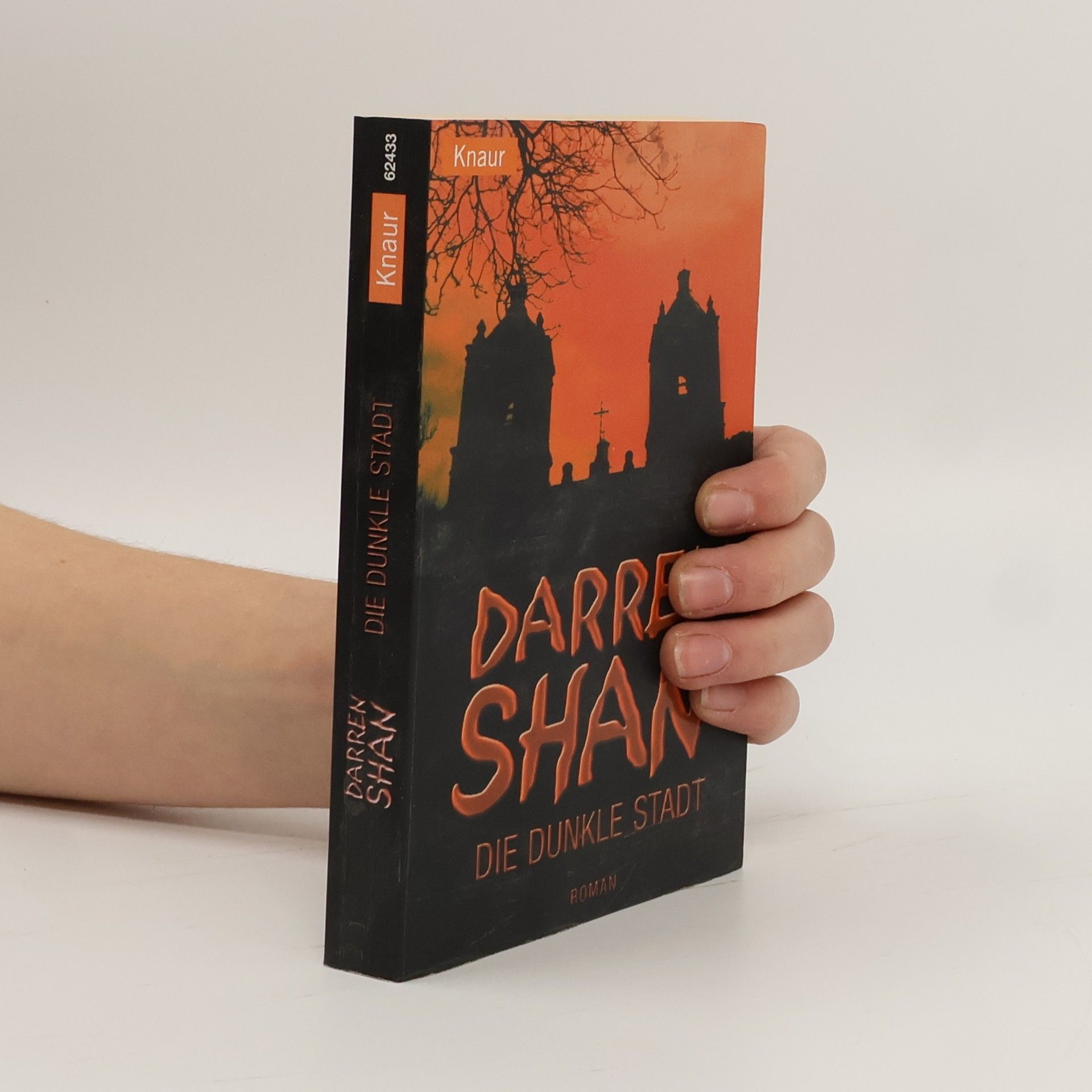 Darren O. Shaughnessy Die dunkle Stadt