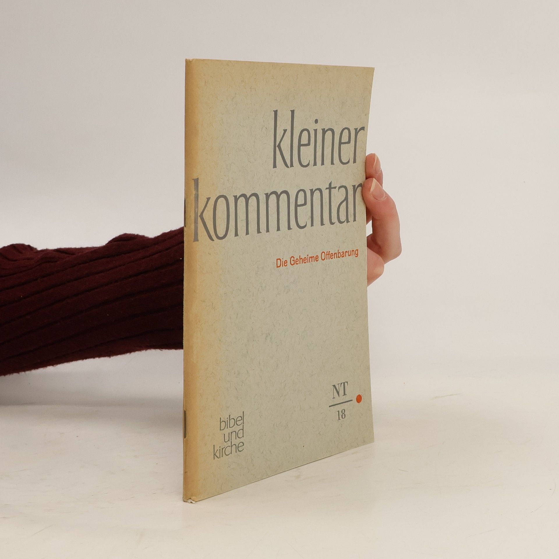 Autorenkollektiv Kleiner Kommentar. Die Geheime Offenbarung