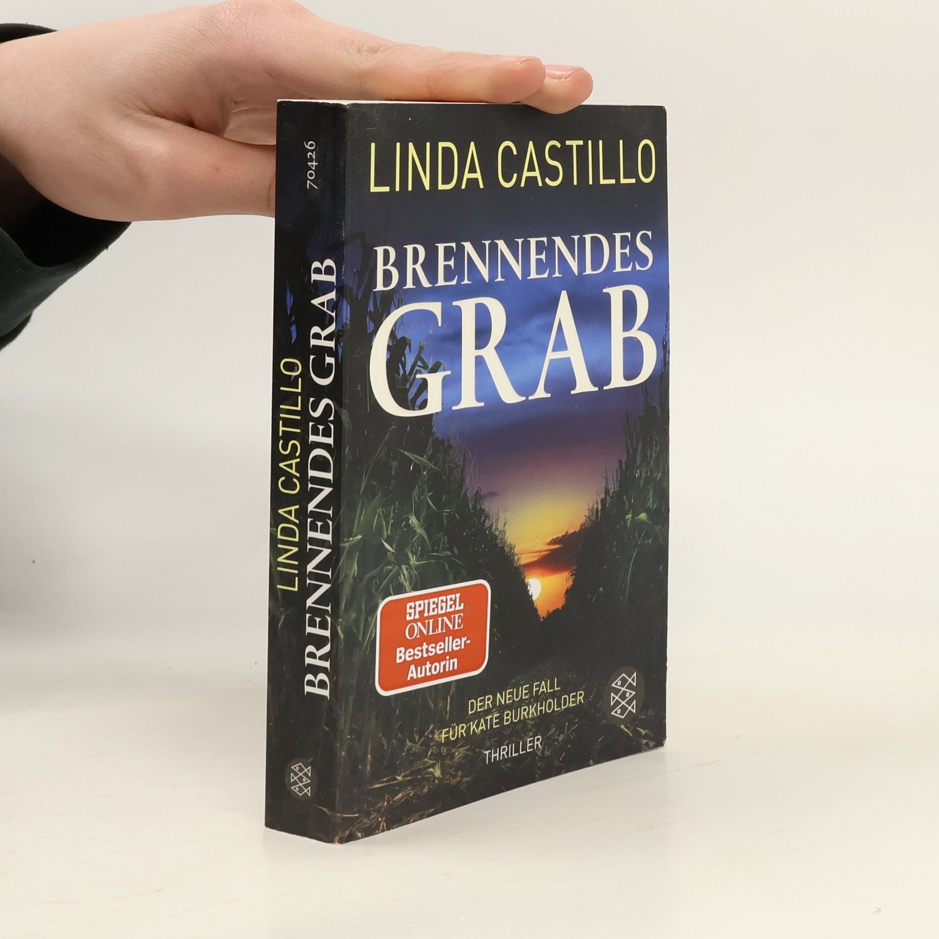 Linda Castillo Brennendes Grab