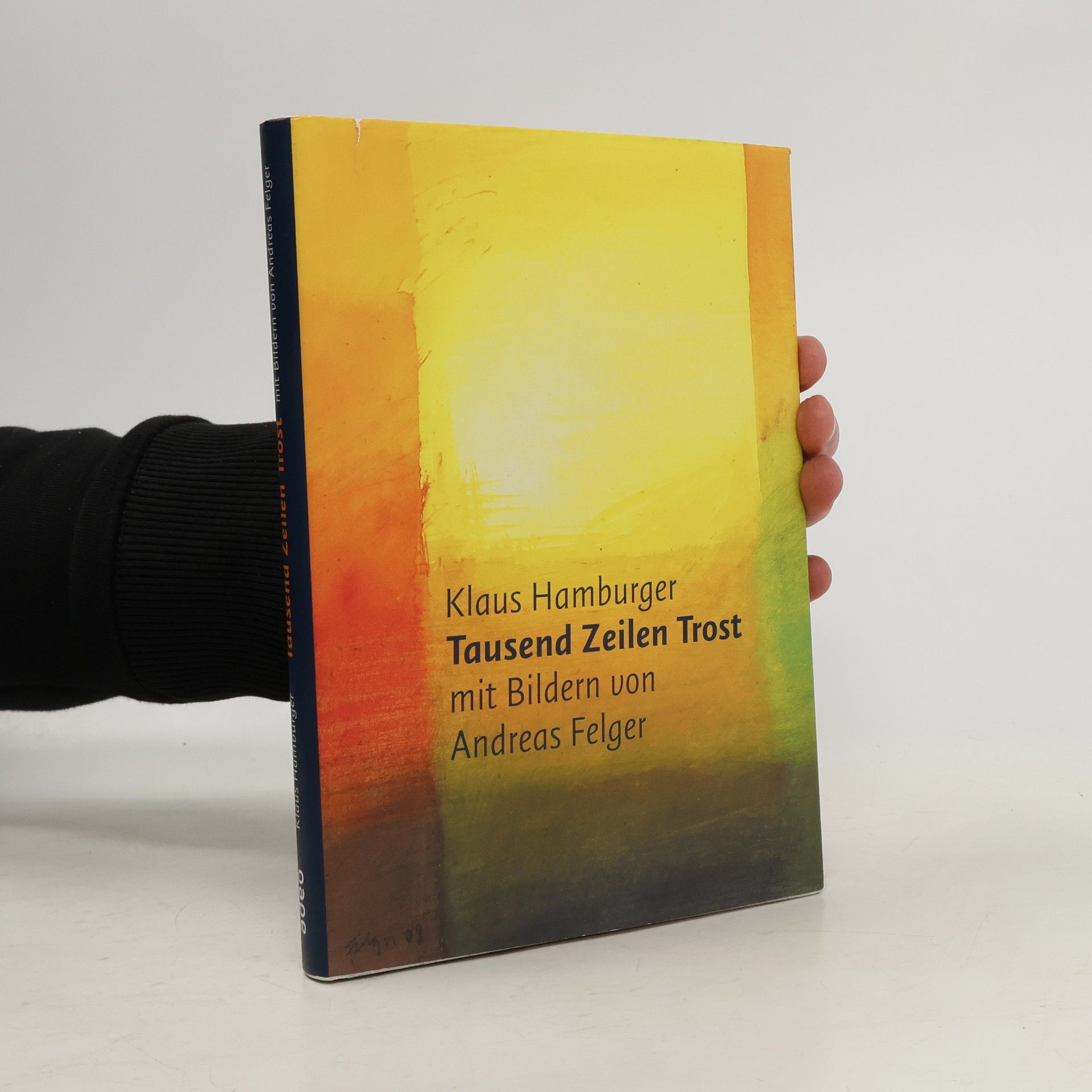 Klaus Hamburger Tausend Zeilen Trost