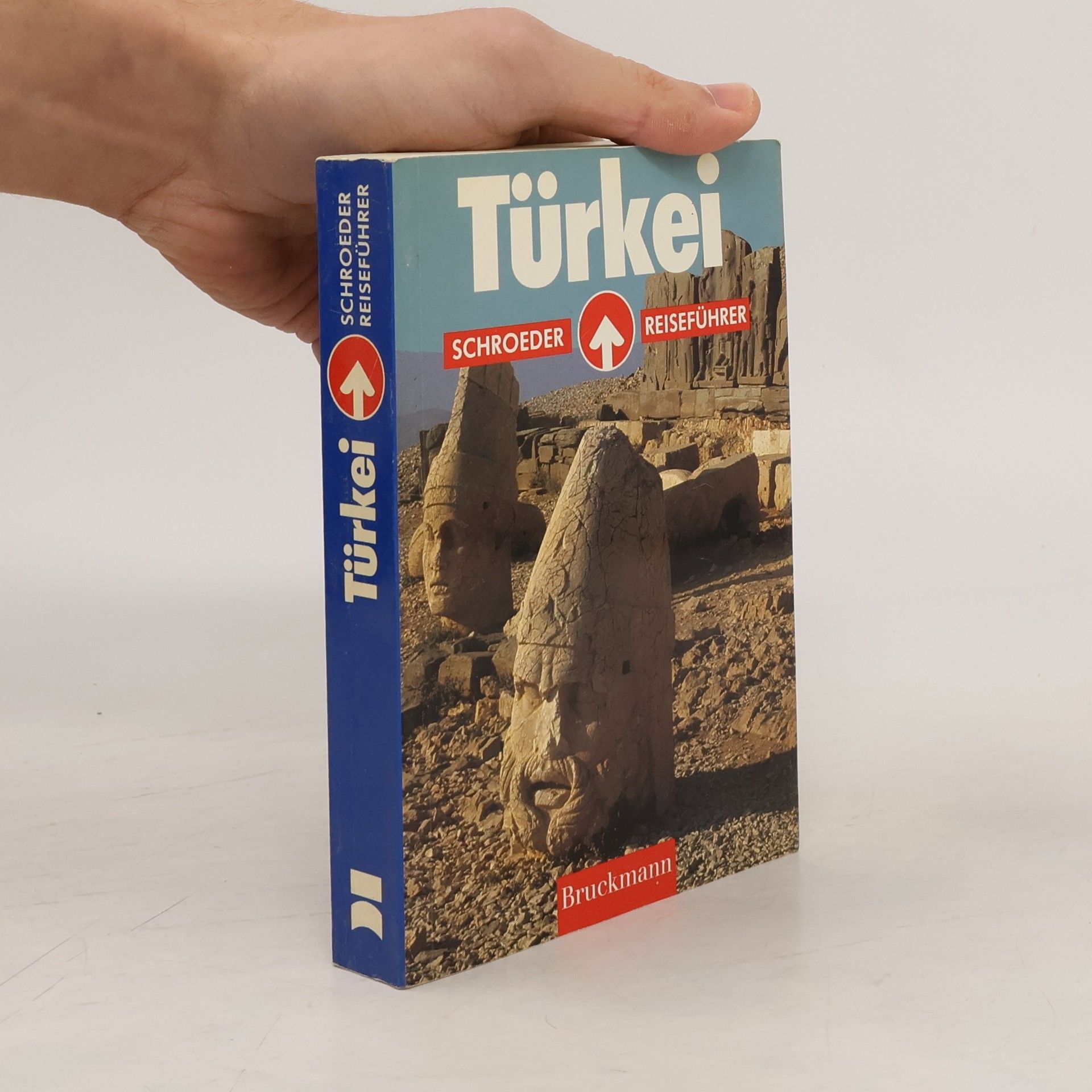 Michael Schwelien Türkei