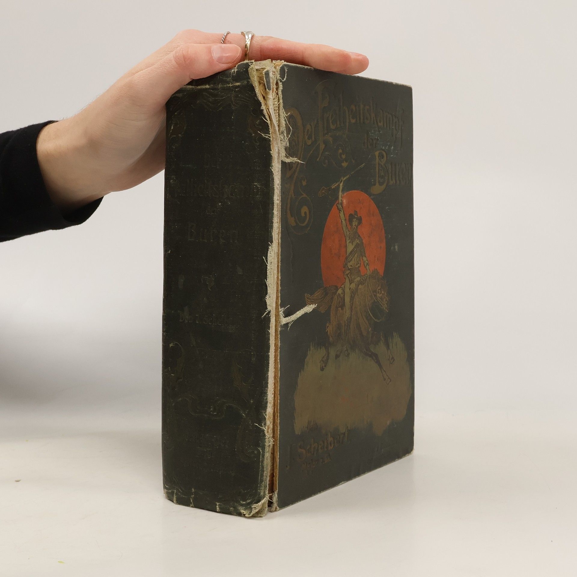 Der Freiheitskampf der Buren und die Geschichte ihres Landes 1