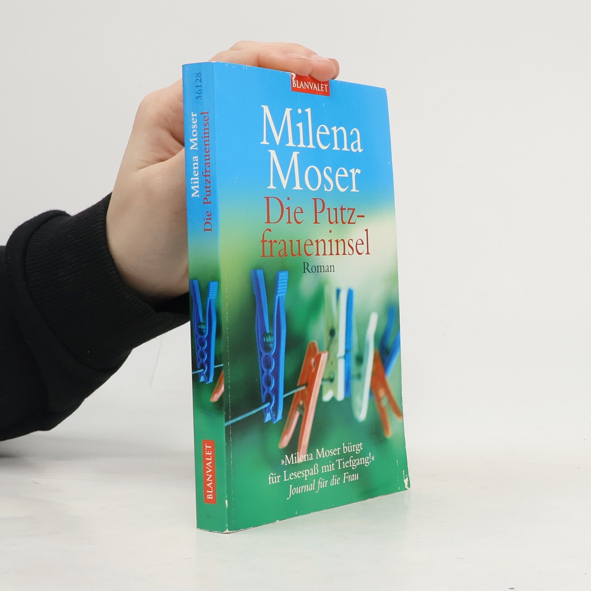 Milena Moser Die Putzfraueninsel