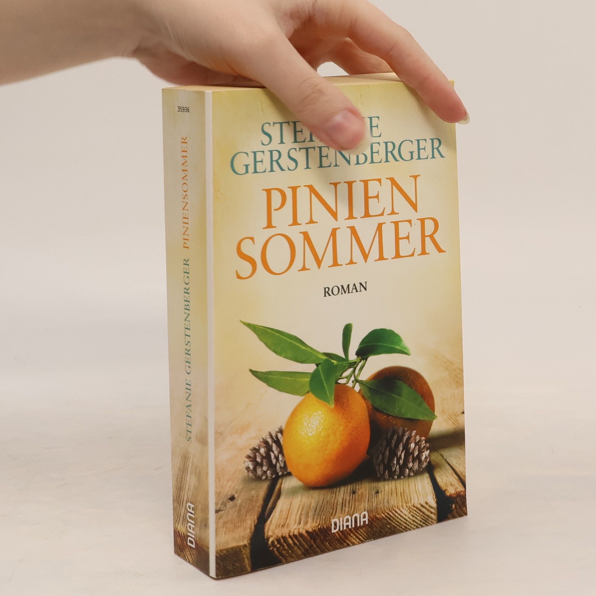 Stephanie Gerstenberger Piniensommer