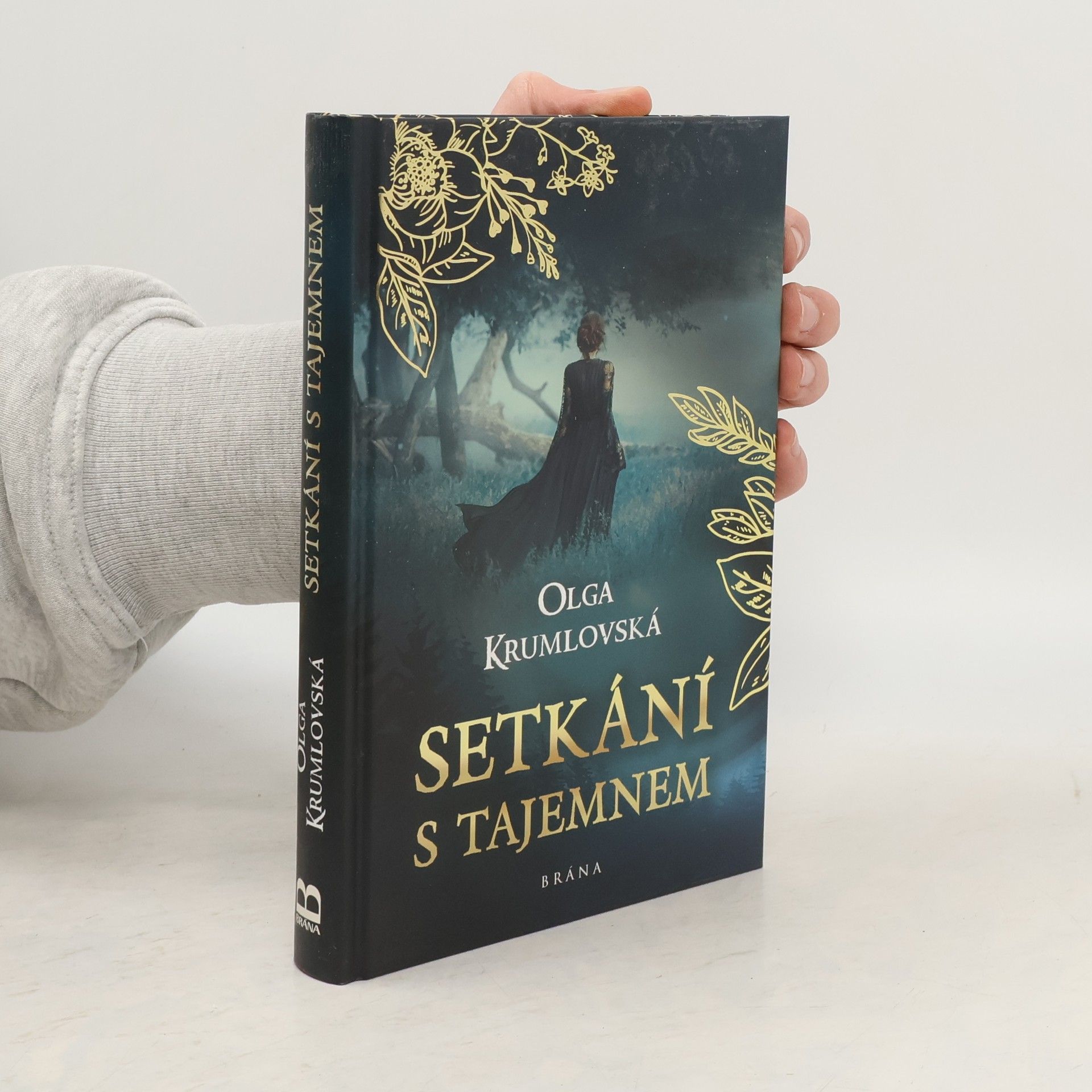 Setkání s tajemnem