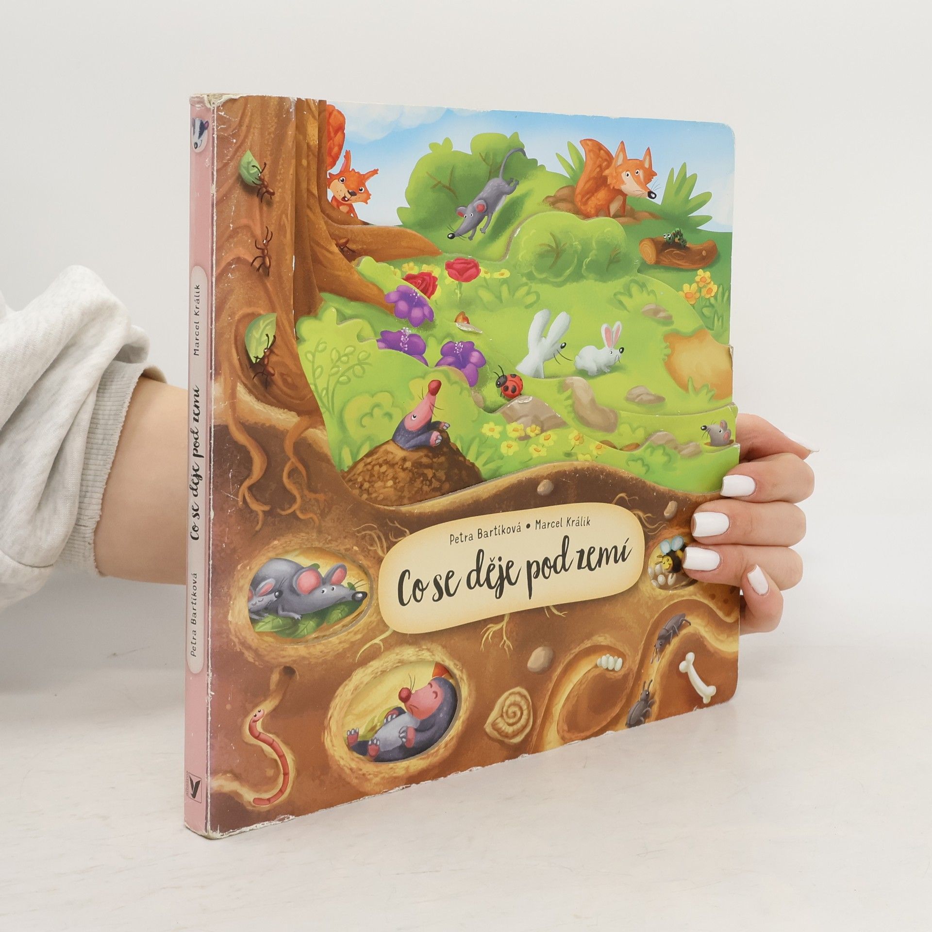 Petra Bartíková Co se děje pod zemí