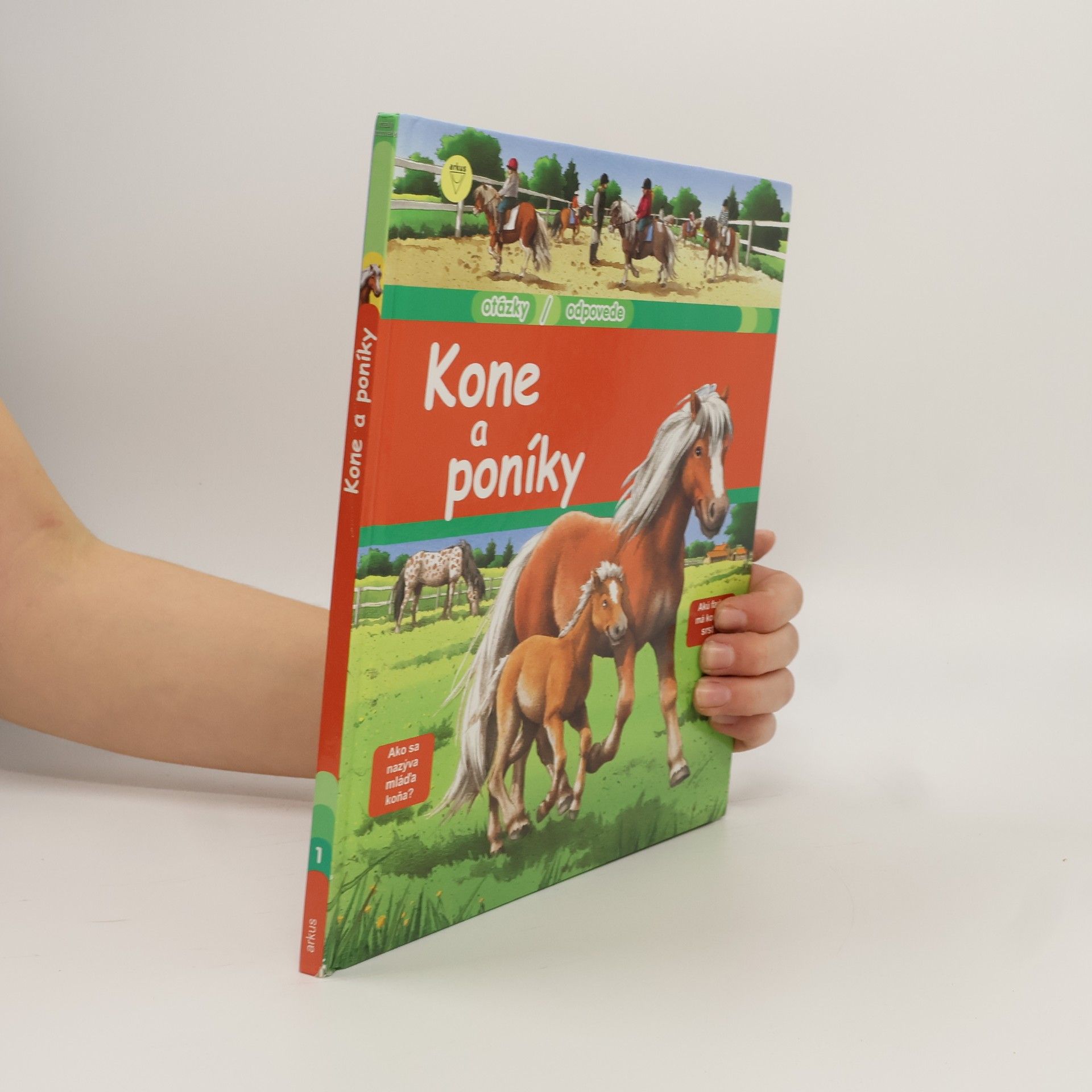 Anne-Sophie Baumann Kone a poníky