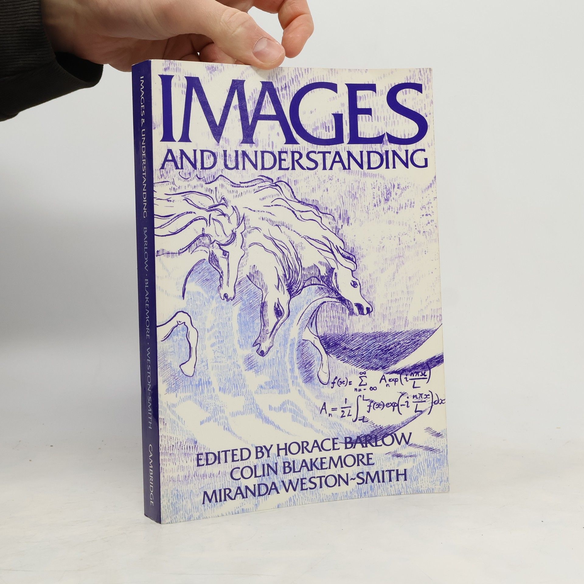 Horace Barlow Images and Understanding