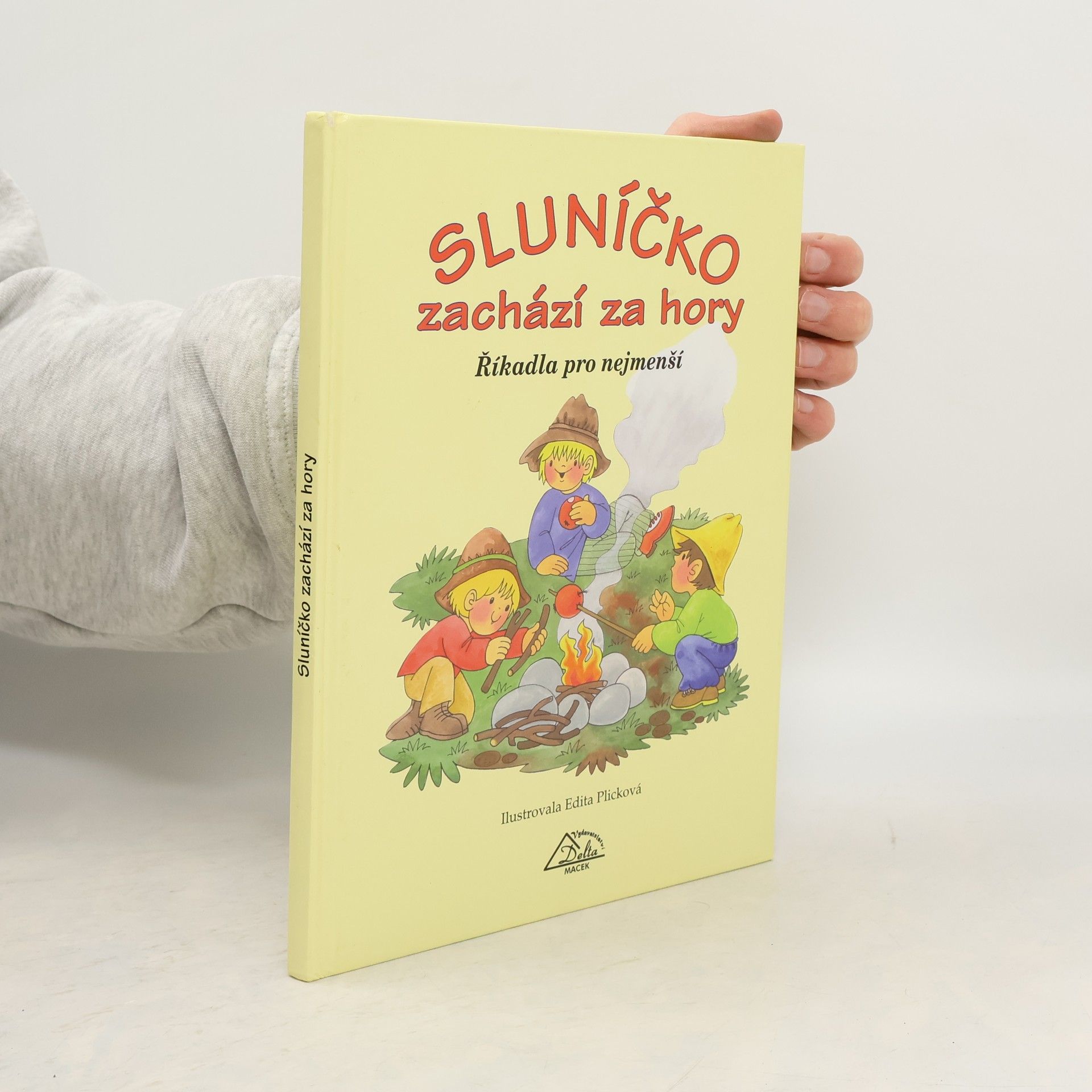 Plicková Edita Sluníčko zachází za hory