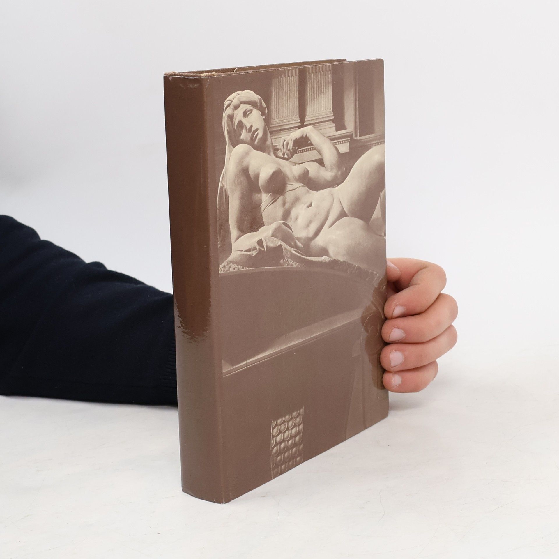 Deník Michelangela blázna