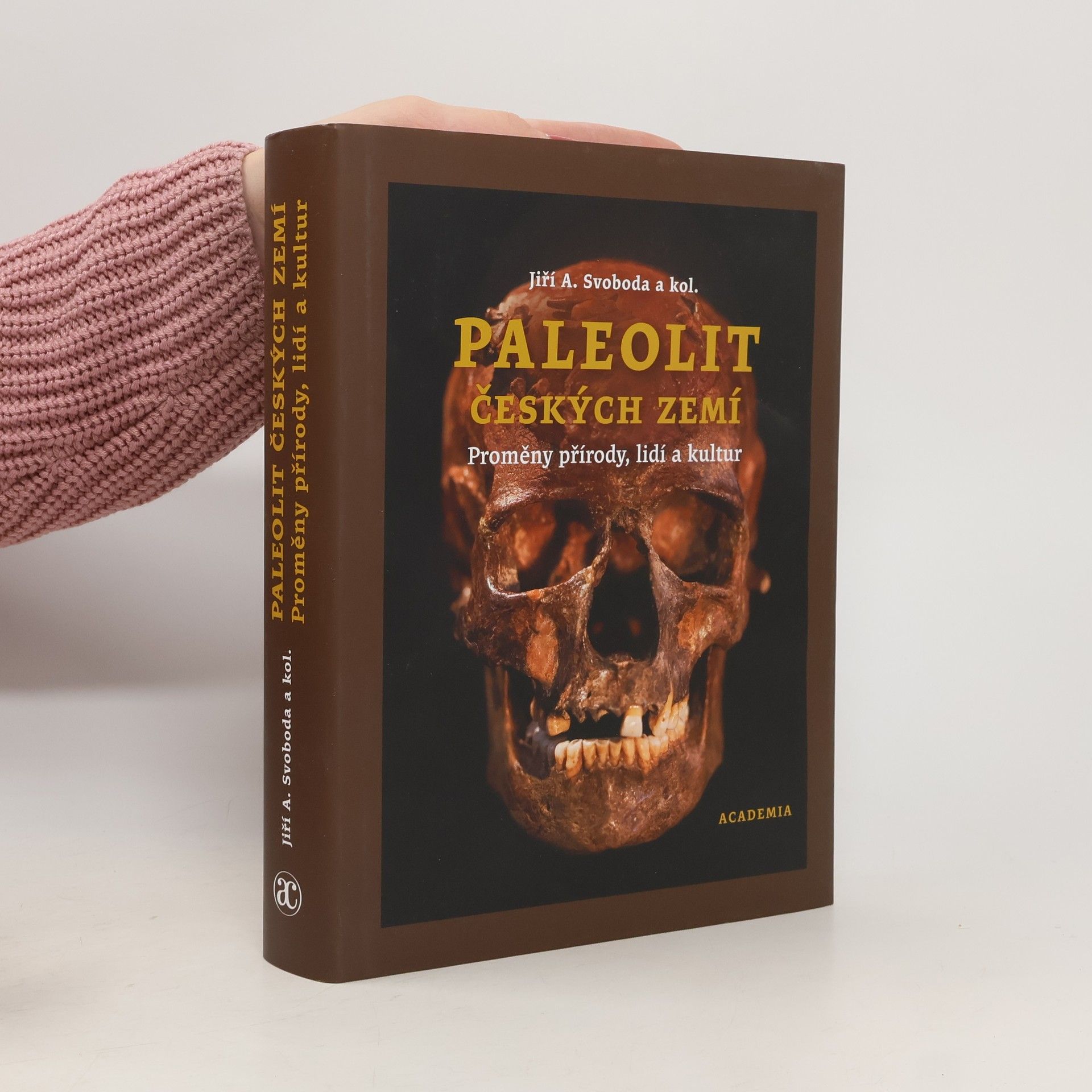 Prof. PhDr. Jiří A. Svoboda DrSc. Paleolit Českých Zemí: proměny přírody, lidí a kultur (2025)