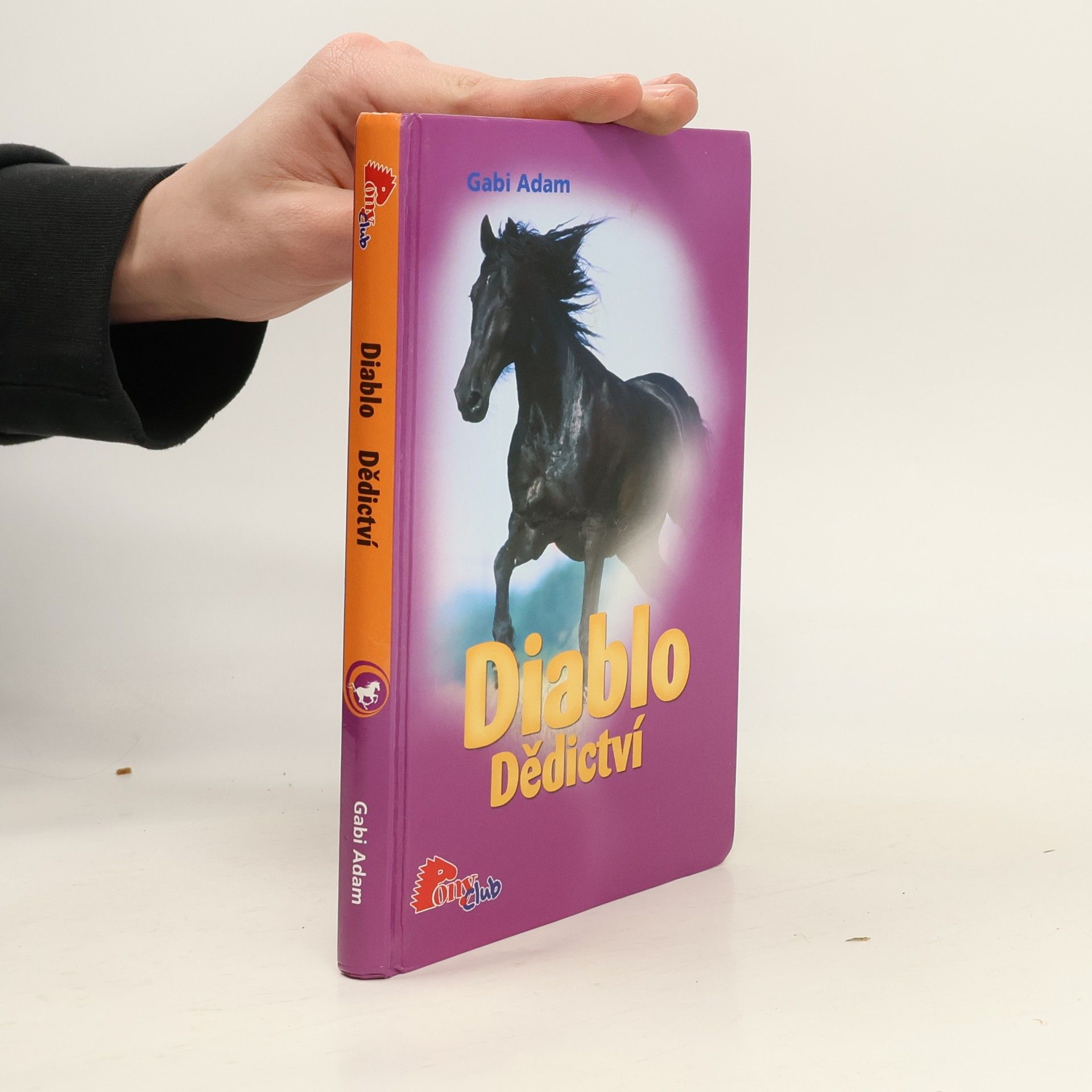 Gabi Adam Diablo. Dědictví