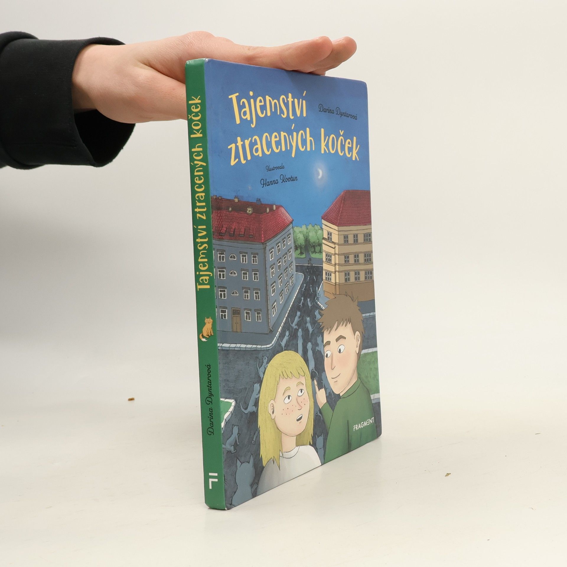 Darina Dyntarová Tajemství ztracených koček