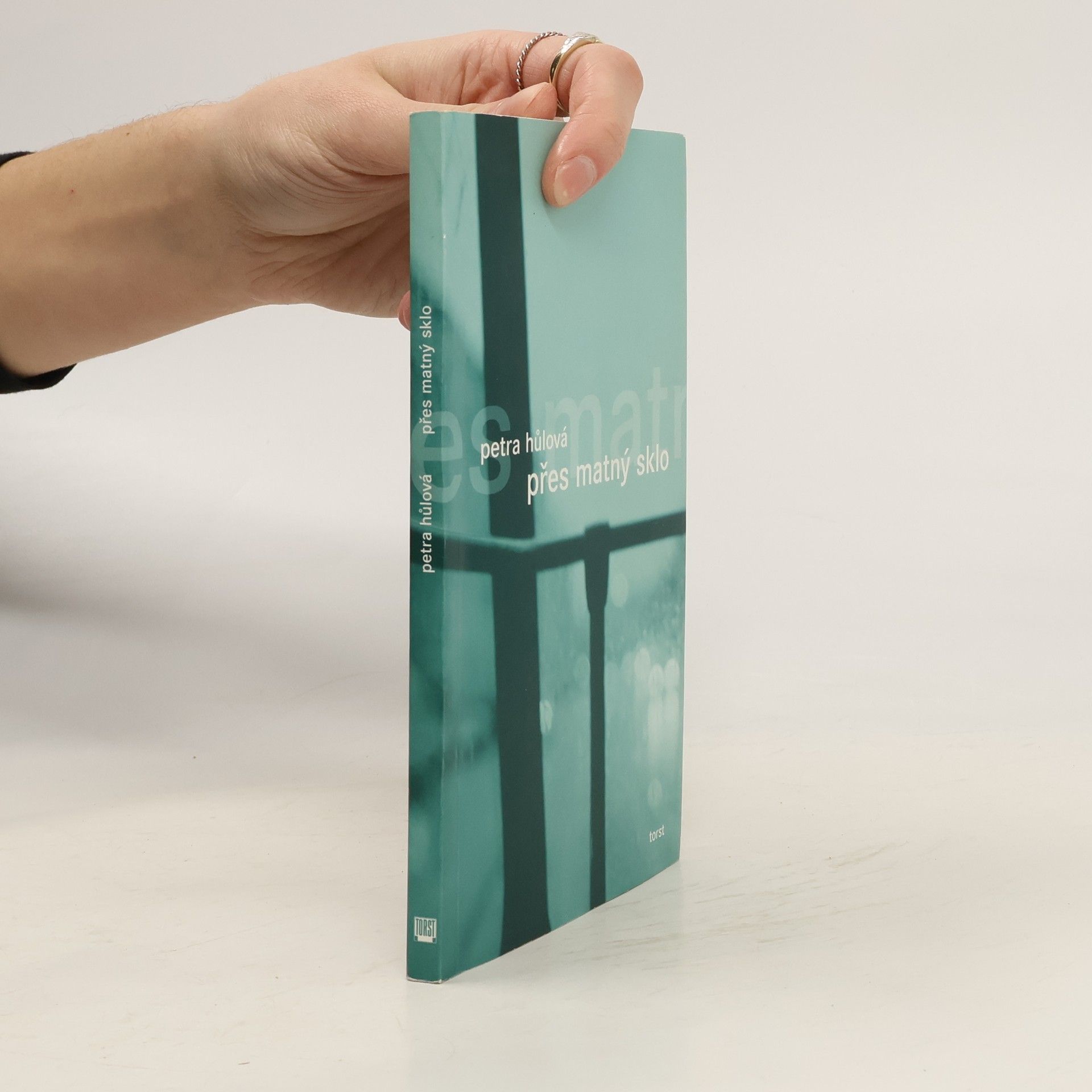 Petra Hůlová Přes matný sklo