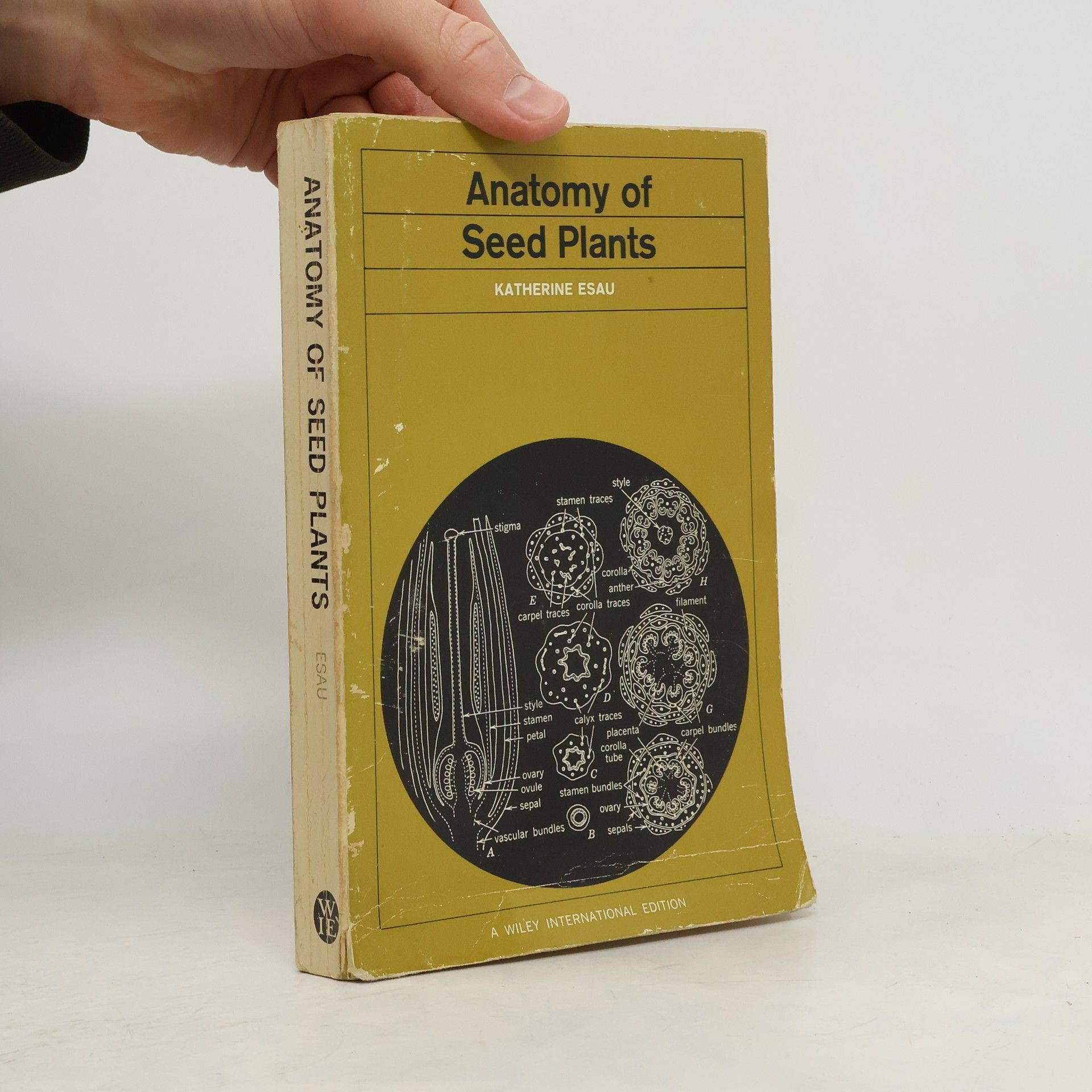 Katherine Esau Anatomy of Seed Plants