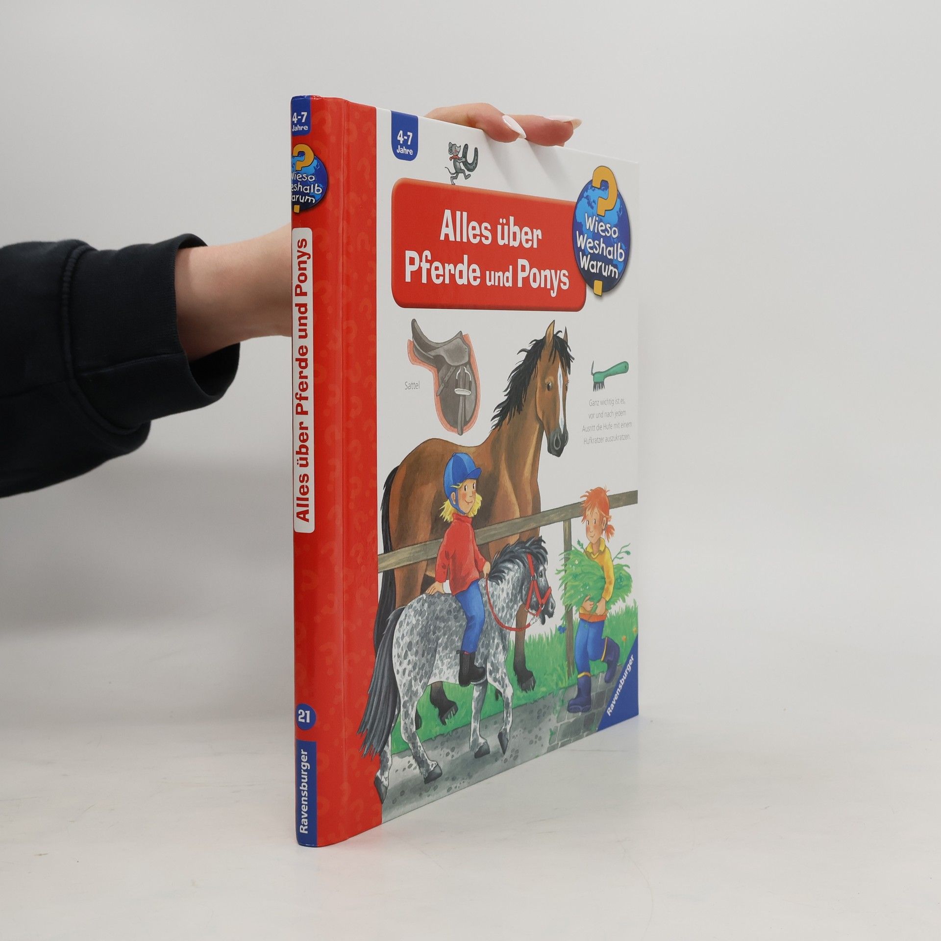 Andrea Erne Alles über Pferde und Ponys
