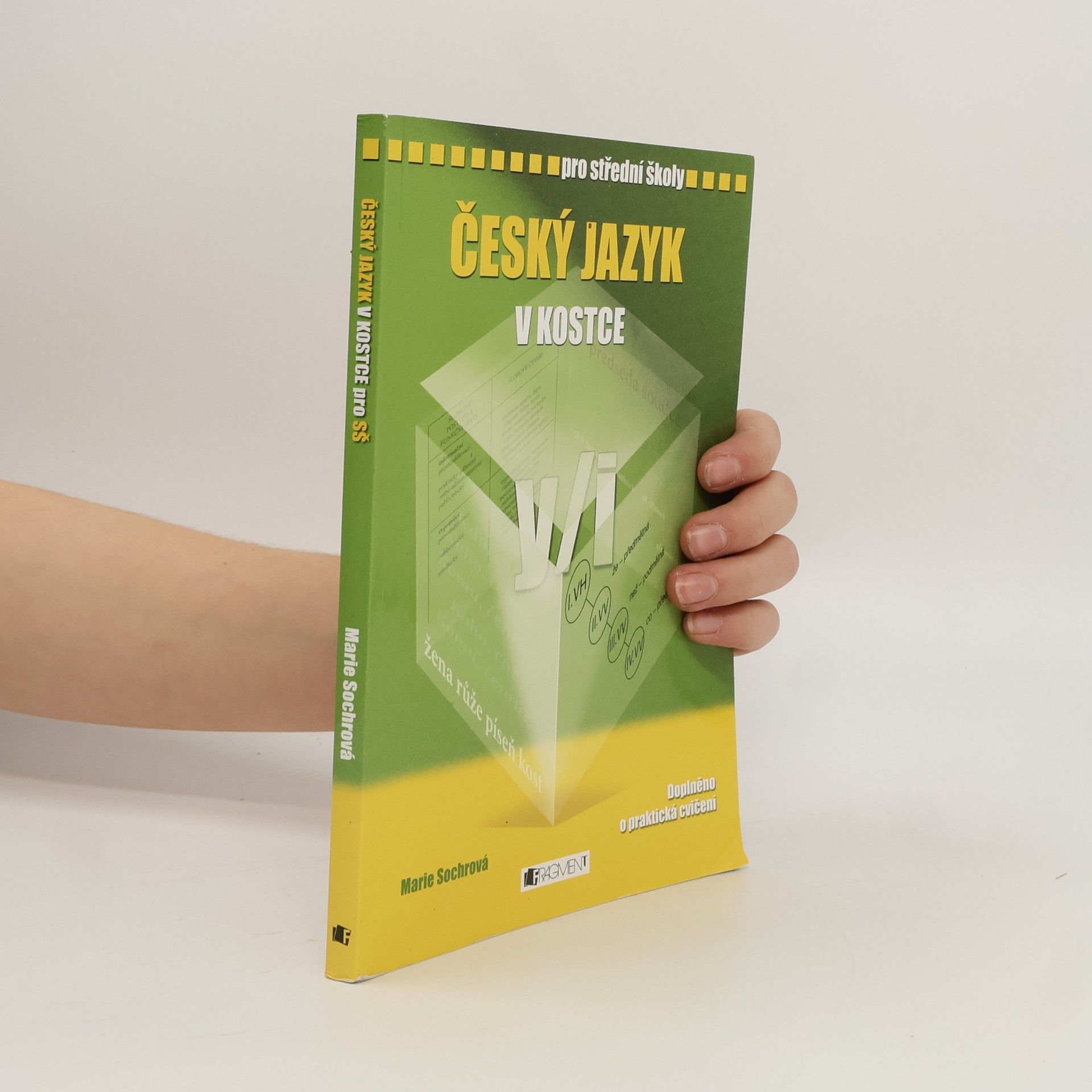 Marie Sochrová Český jazyk v kostce : pro střední školy