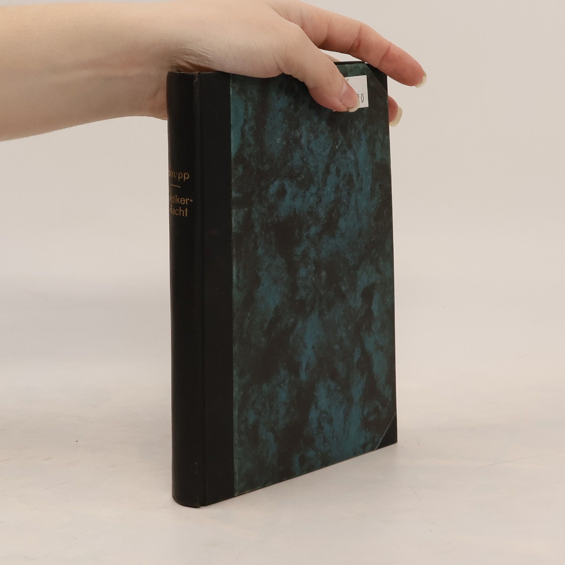 Karl Strupp Grundzüge des positiven Völkerrechts