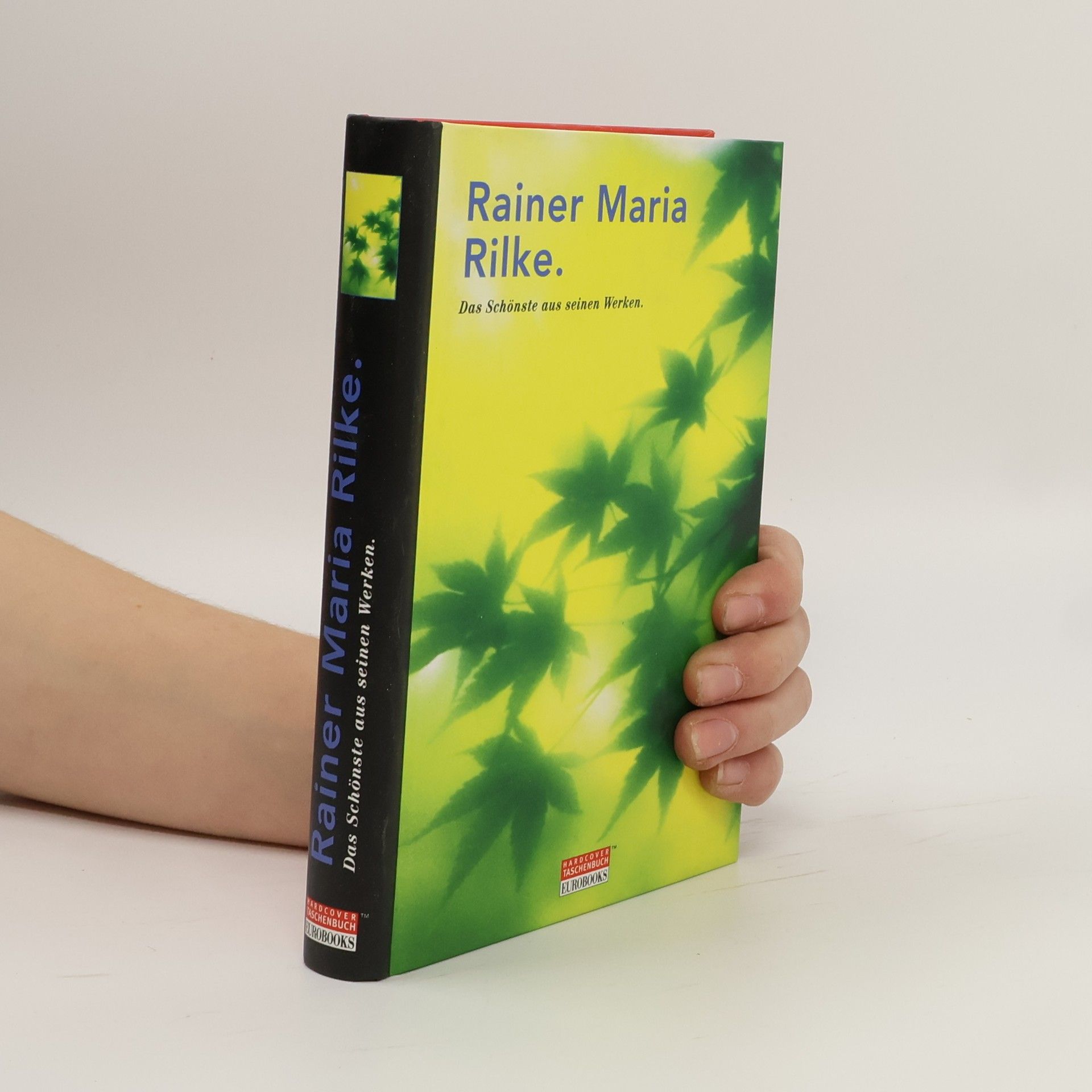 Rainer Maria Rilke Das Schönste aus seinen Werken