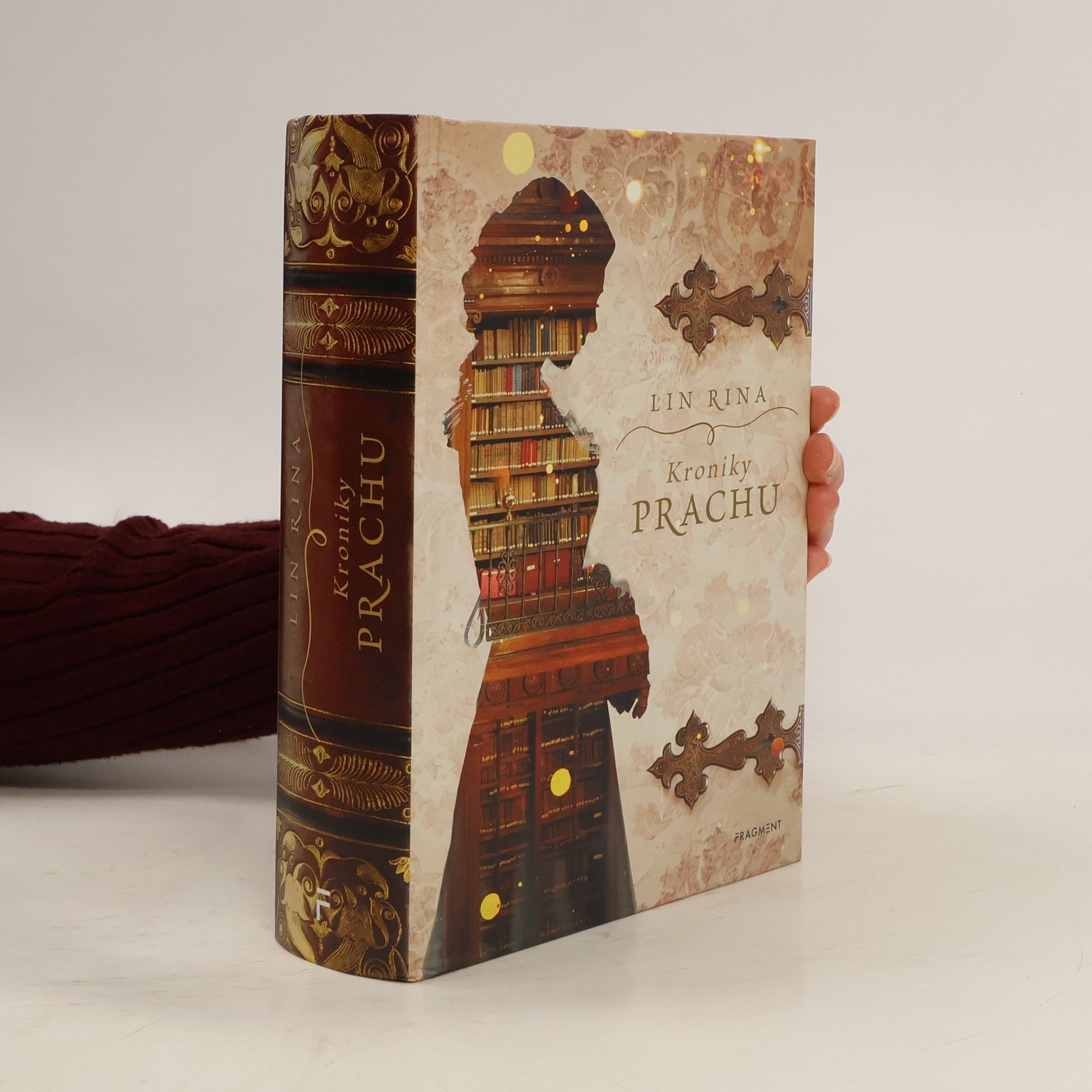 Lin Rina Kroniky prachu