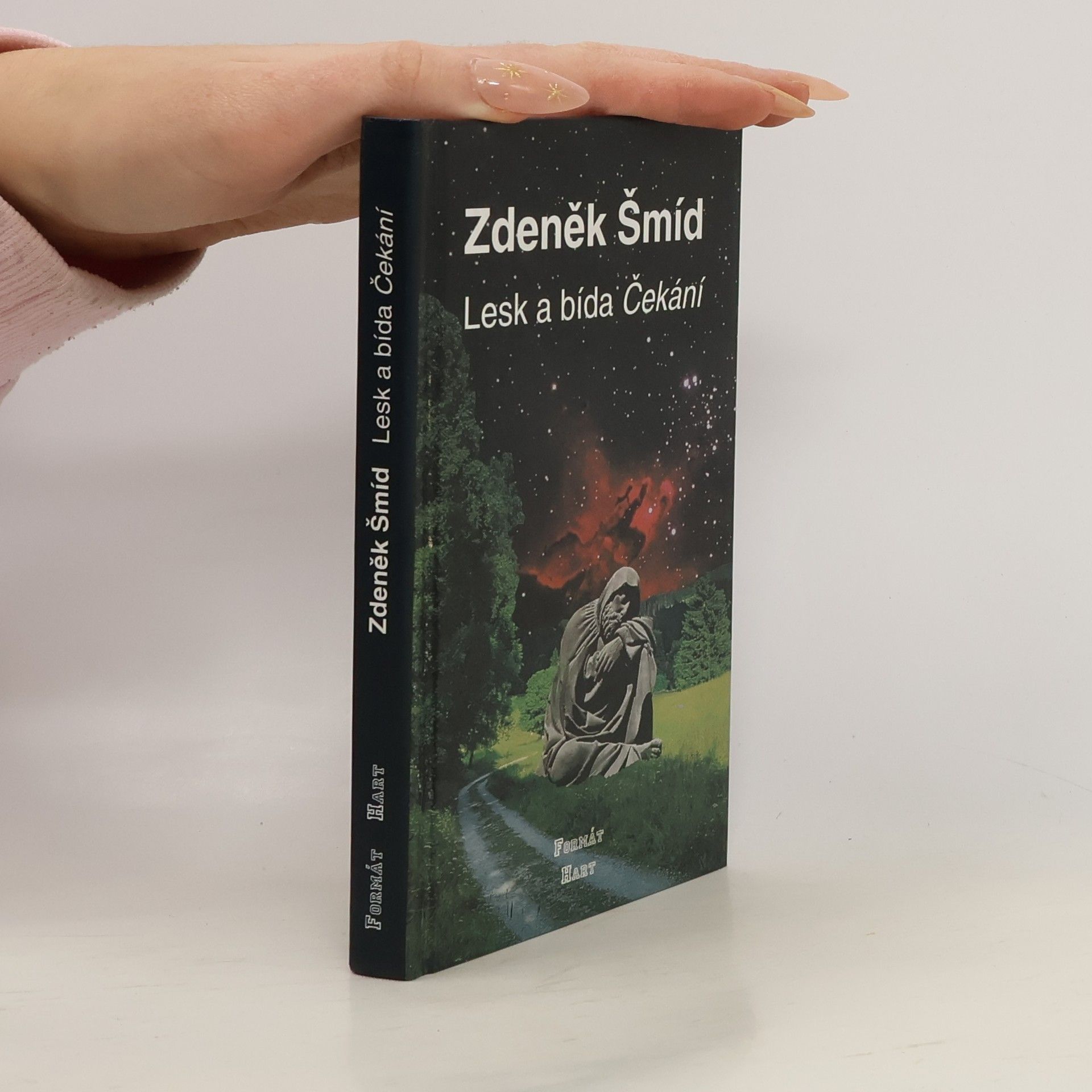 Zdeněk Šmíd Lesk a bída Čekání