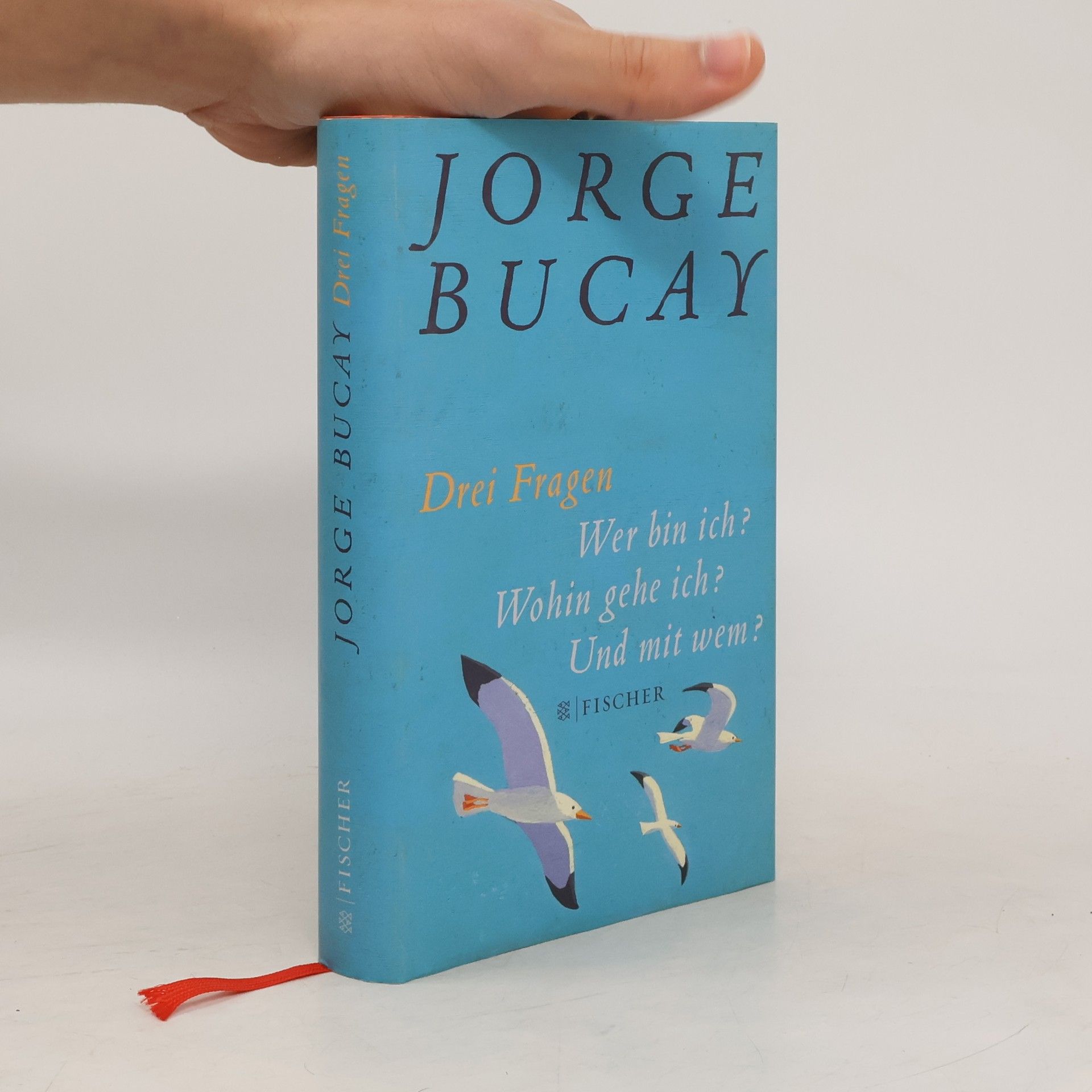 Jorge Bucay Drei Fragen