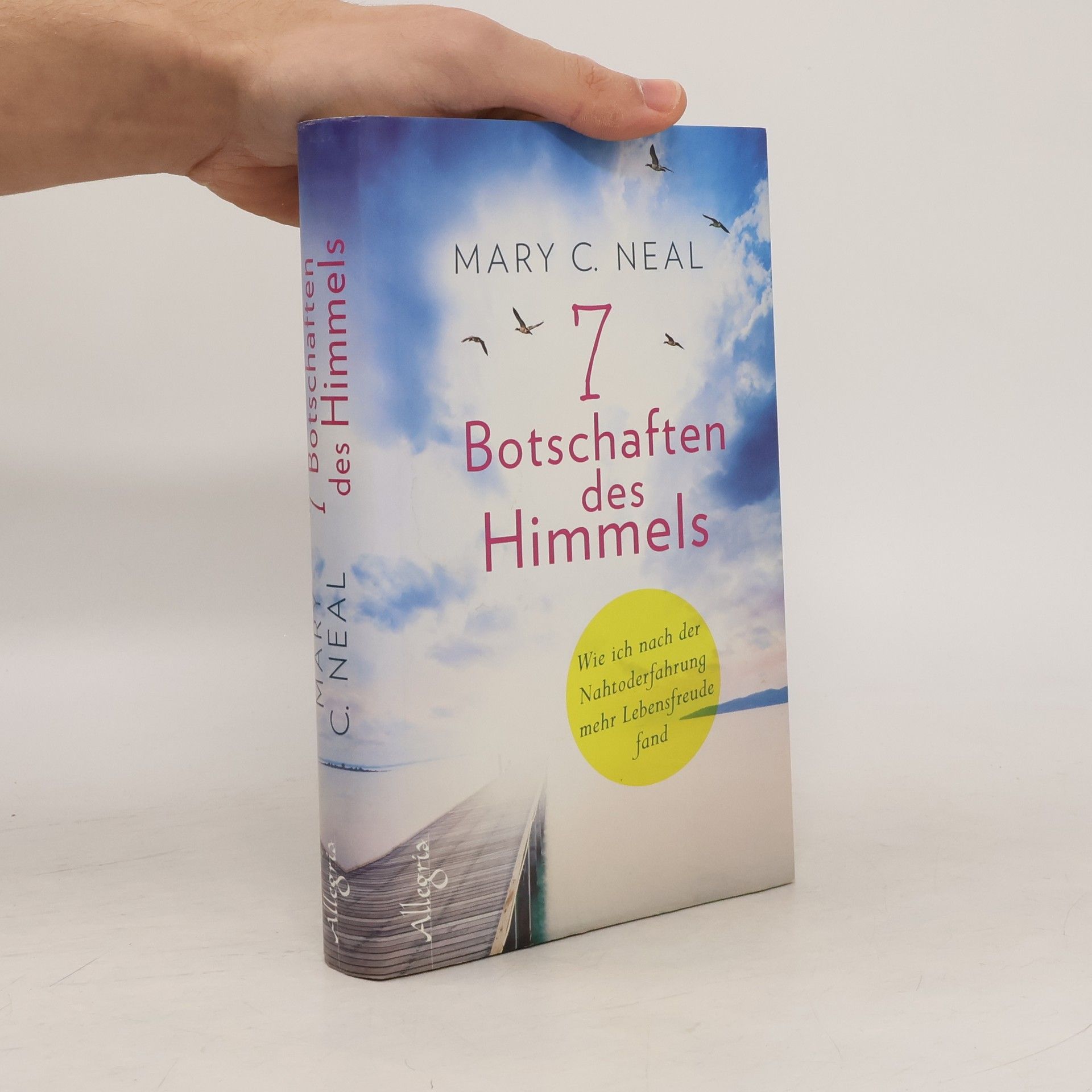 Mary C. Neal 7 Botschaften des Himmels