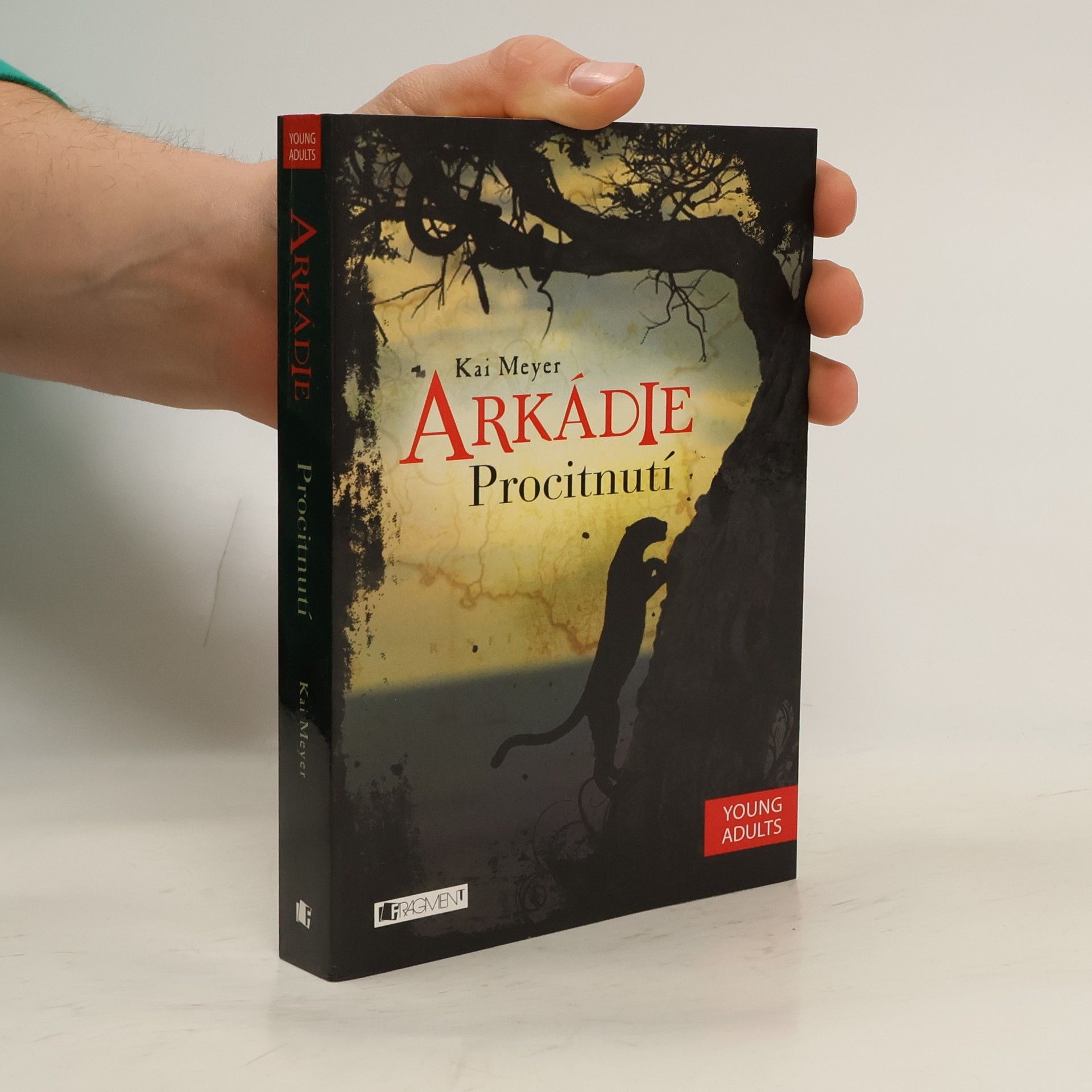 Kai Meyer Arkádie. Procitnutí