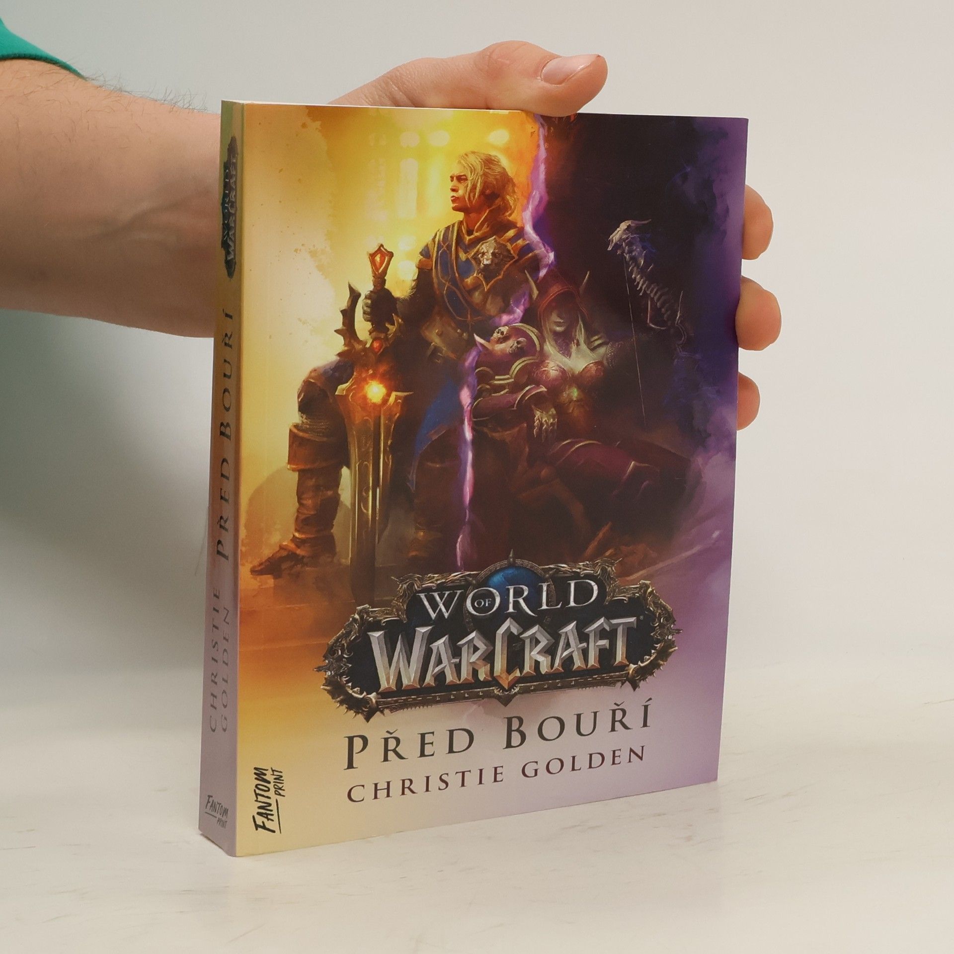 Christie Golden Před bouří