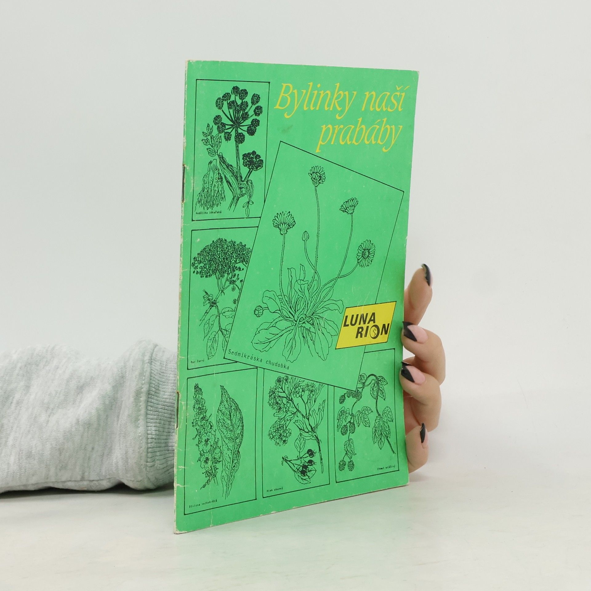 Collectif d'auteurs Bylinky naší prabáby