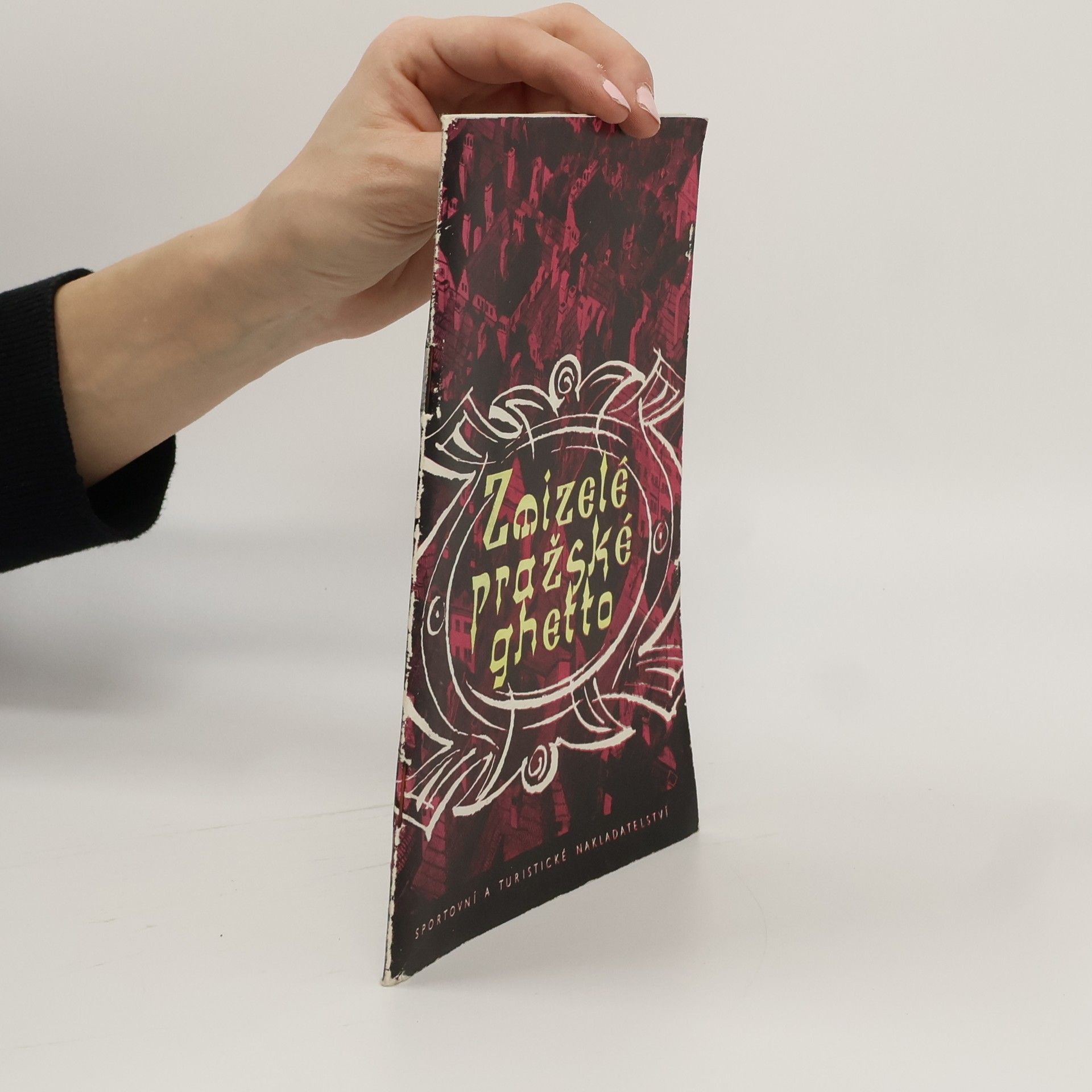 Hana Volavková Zmizelé pražské ghetto