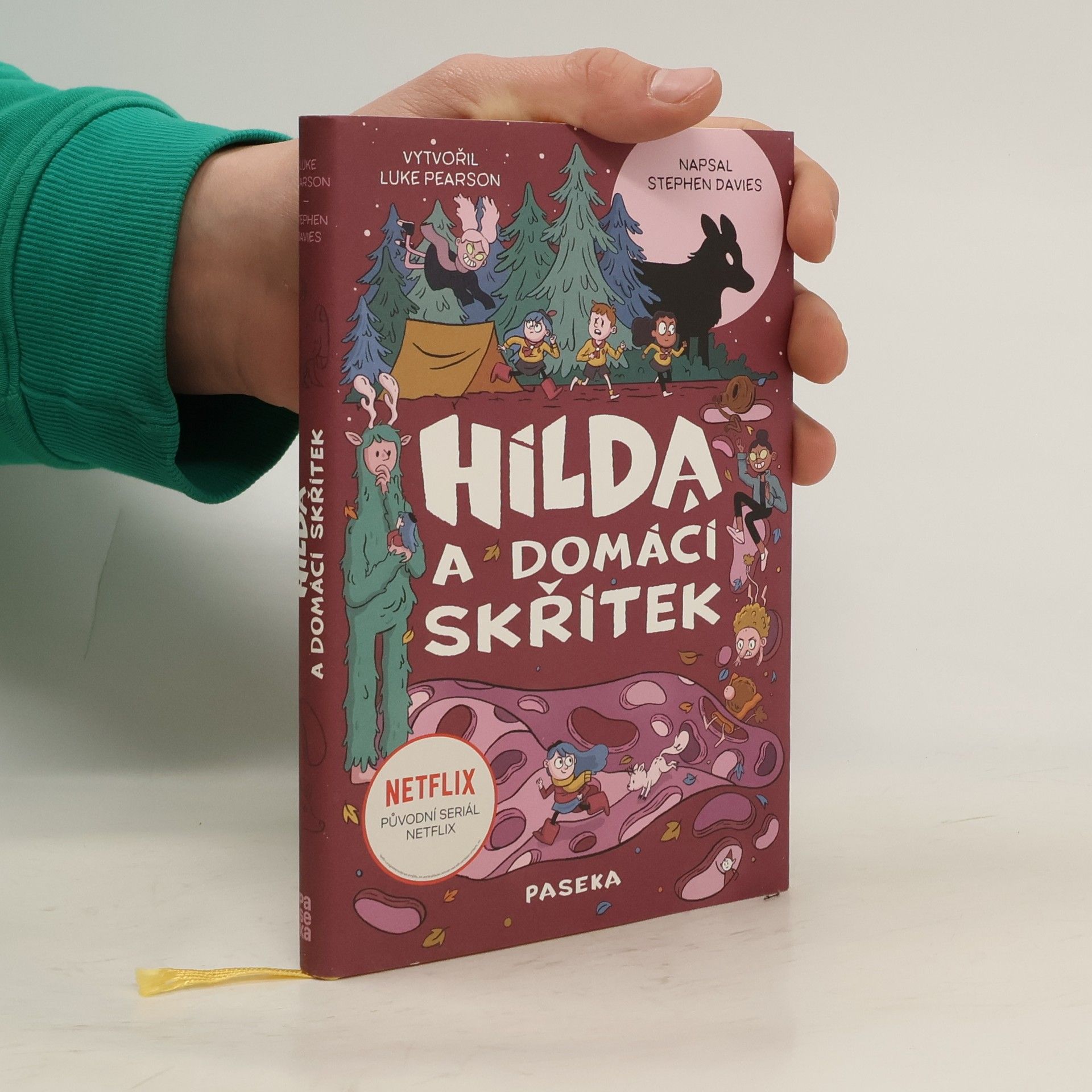 Stephen Davies Hilda a domácí skřítek