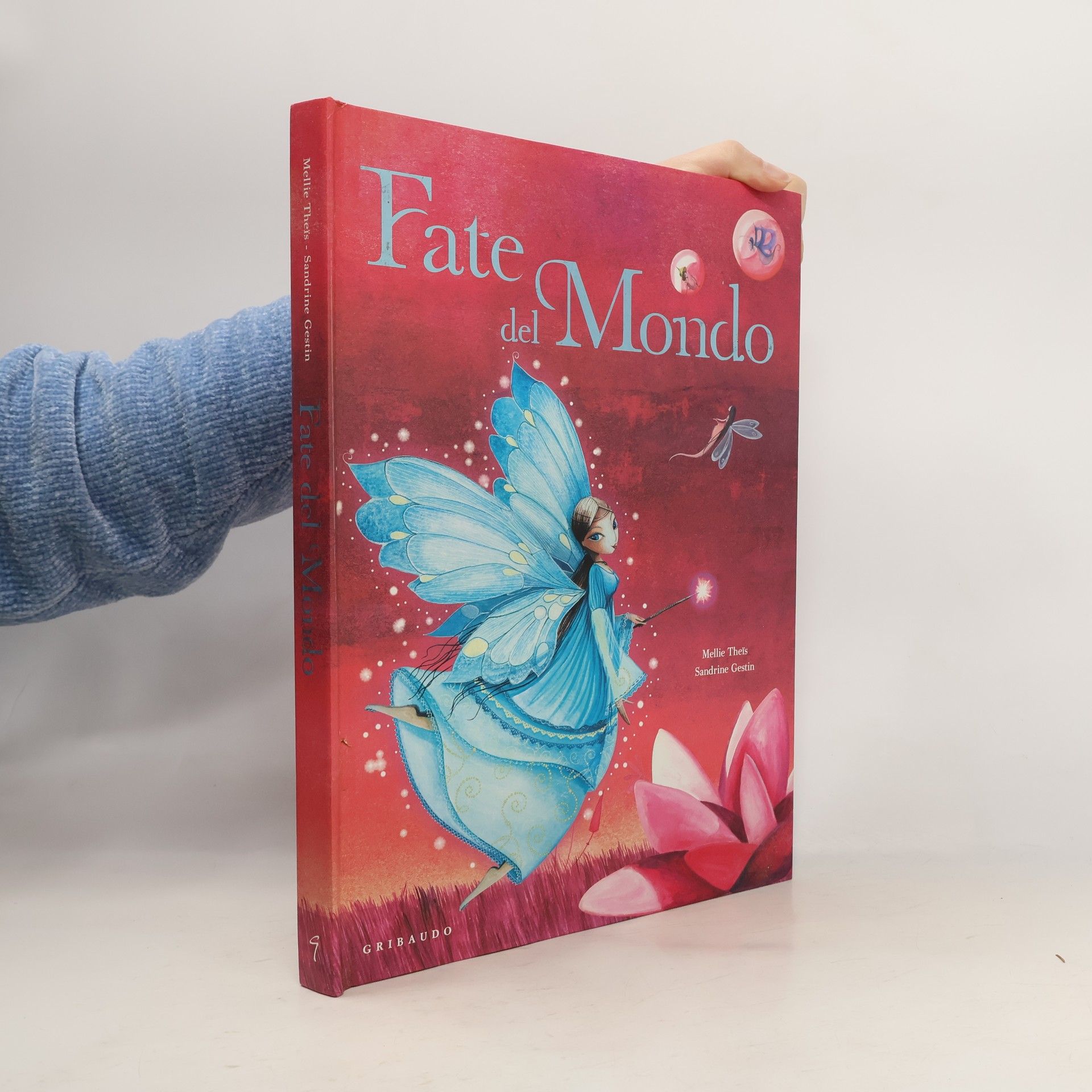 Mellie Theïs Storie per sognare: Fate del mondo. Ediz. illustrata
