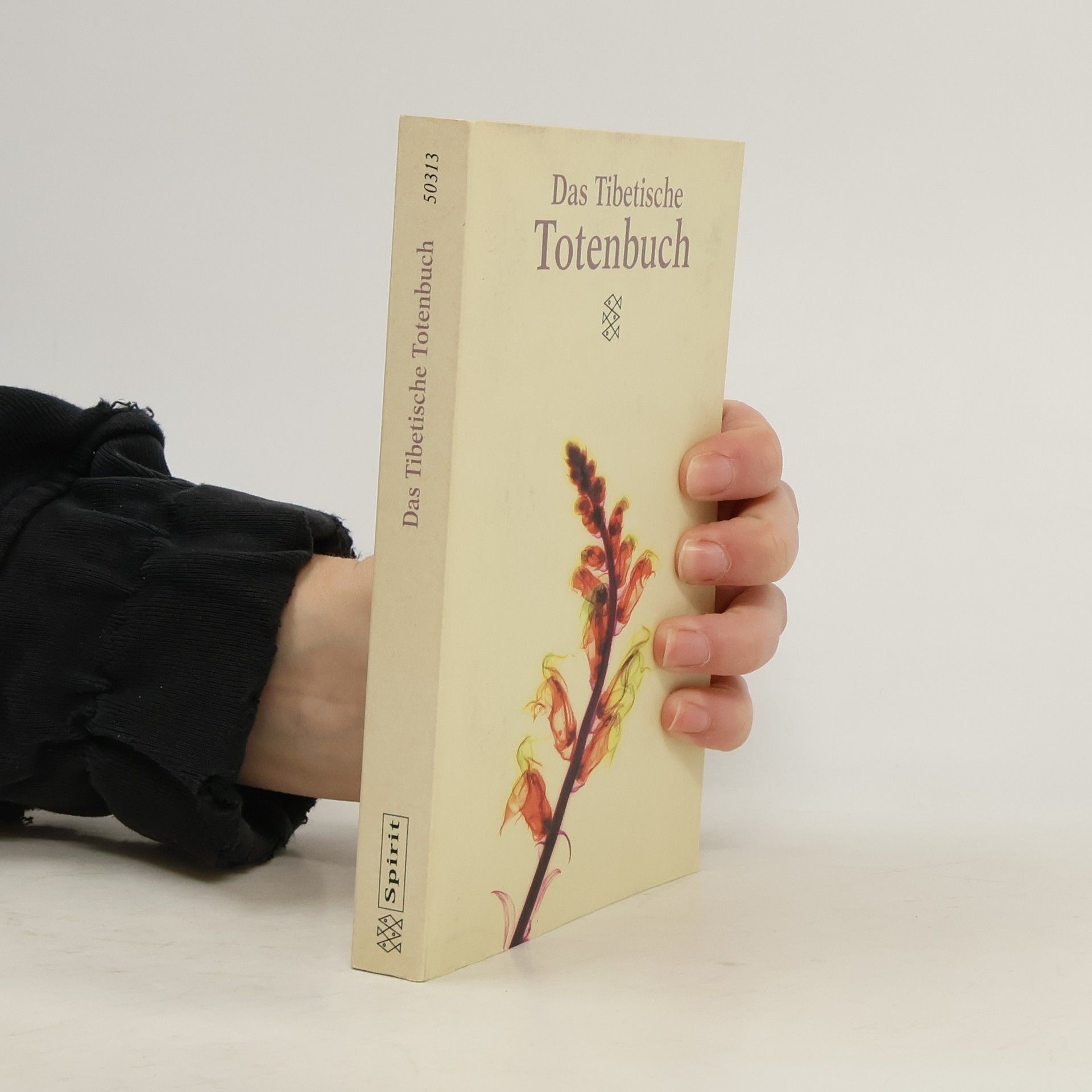 AA.VV. Das Tibetische Totenbuch