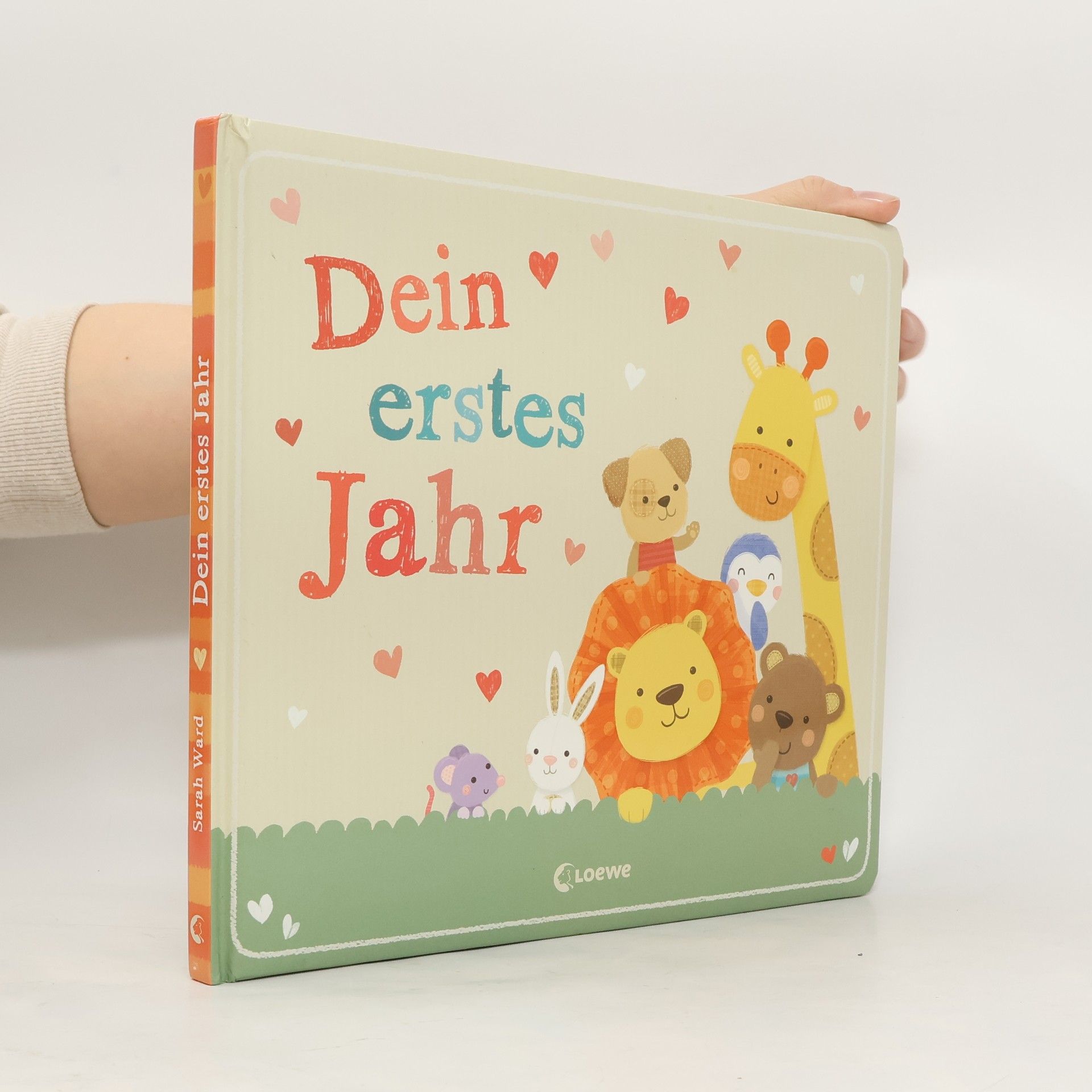 Sarah Ward Dein erstes Jahr