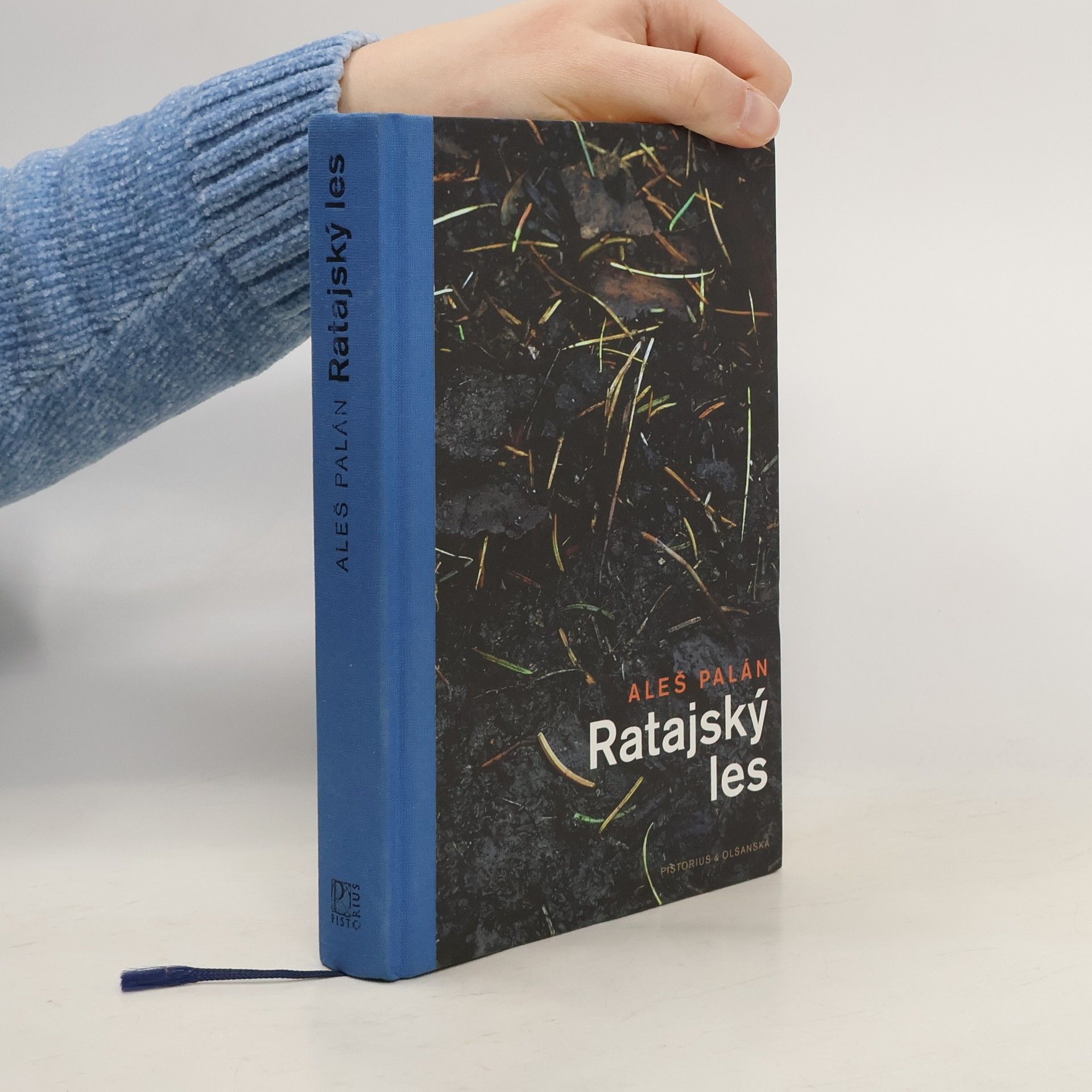 Aleš Palán Ratajský les
