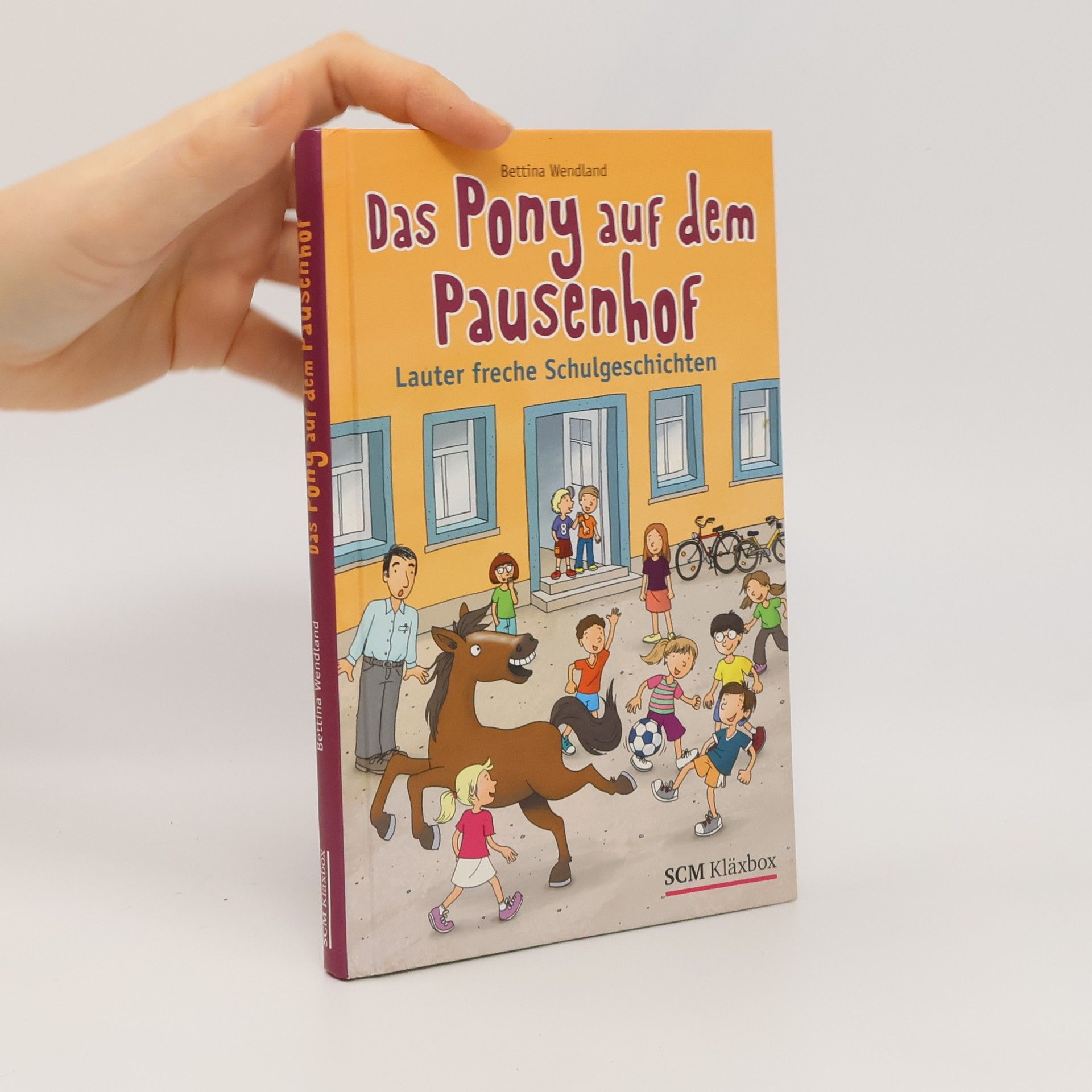Bettina Wendland Das Pony auf dem Pausenhof