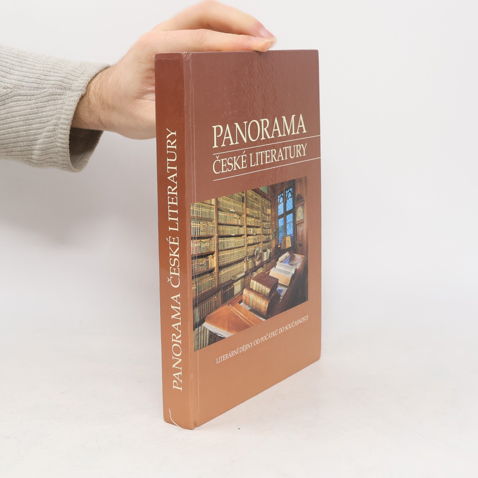 kolektiv Panorama české literatury. Literární dějiny od počátků do současnosti