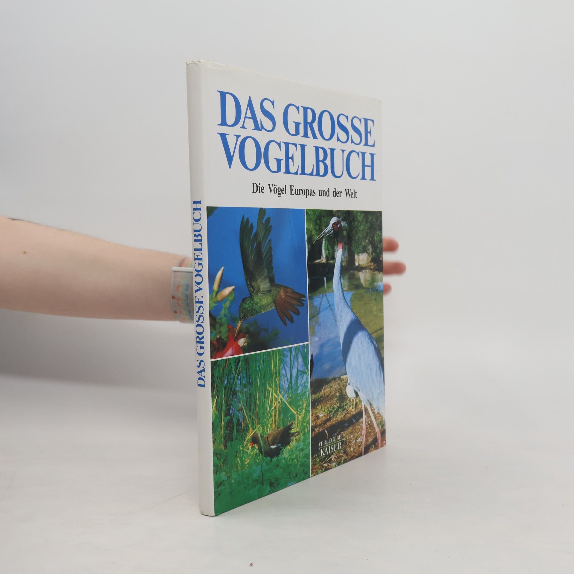Das grosse Vogelbuch
