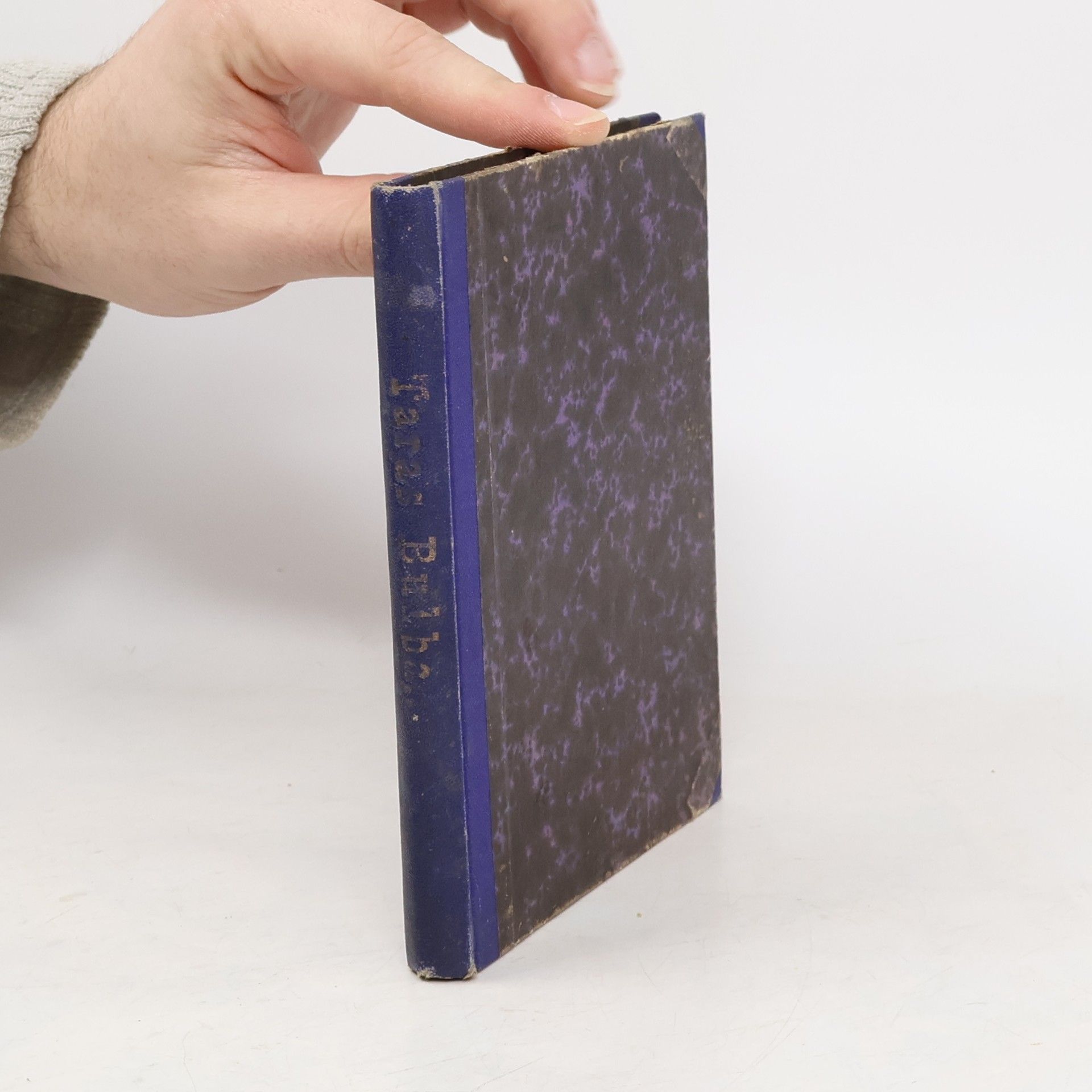 Nikolai Wassiljewitsch Gogol Taras Bulba