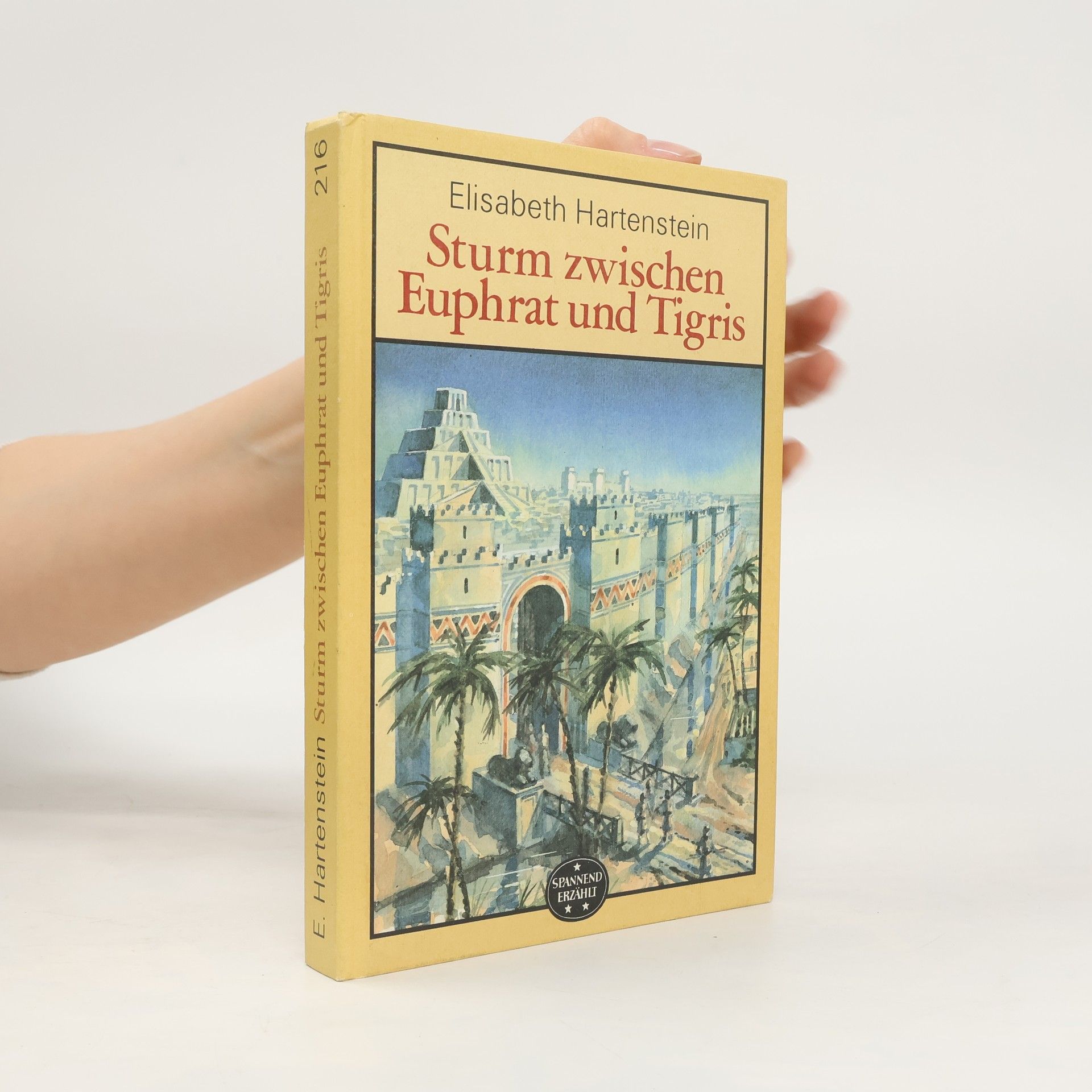 Sturm zwischen Euphrat und Tigris